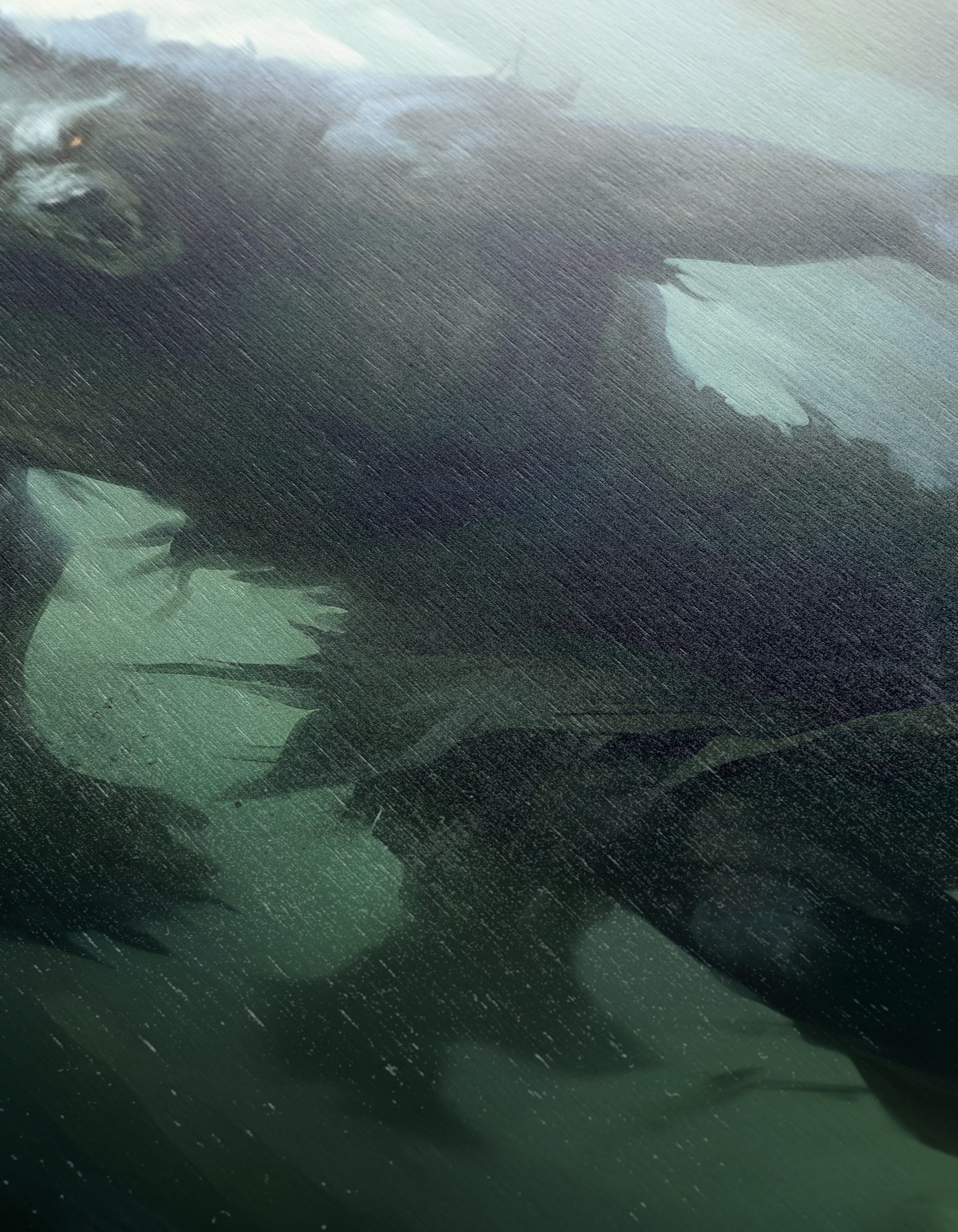 Majestic Fantasy Creature in Dark Forest - Image 12