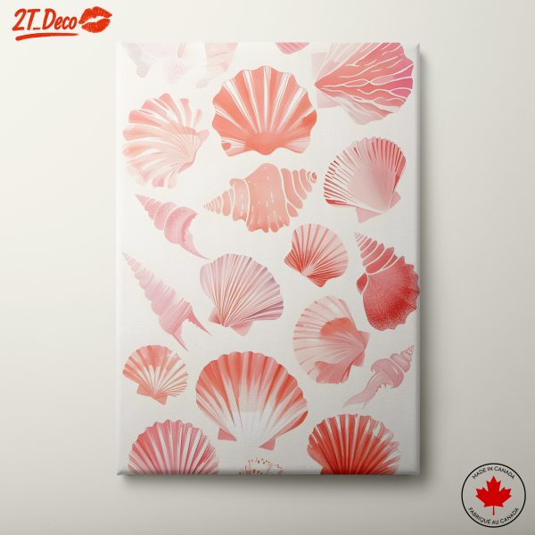 Delicate Shell Illustrations in Pastel Hues