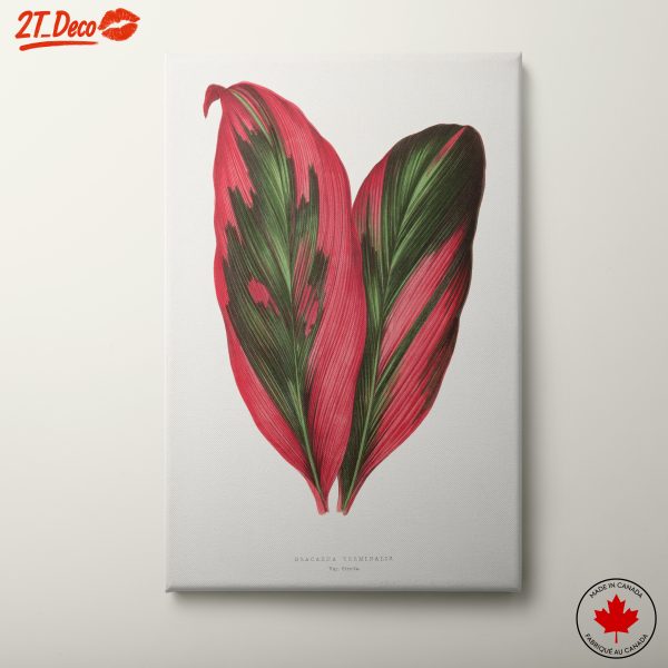 Vibrant Botanical Art of Dracaena Leaves