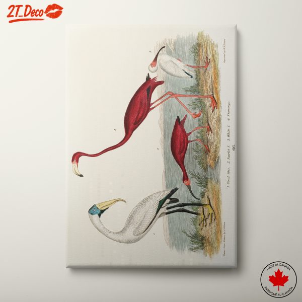 Beautiful Botanical Illustrations of Birds