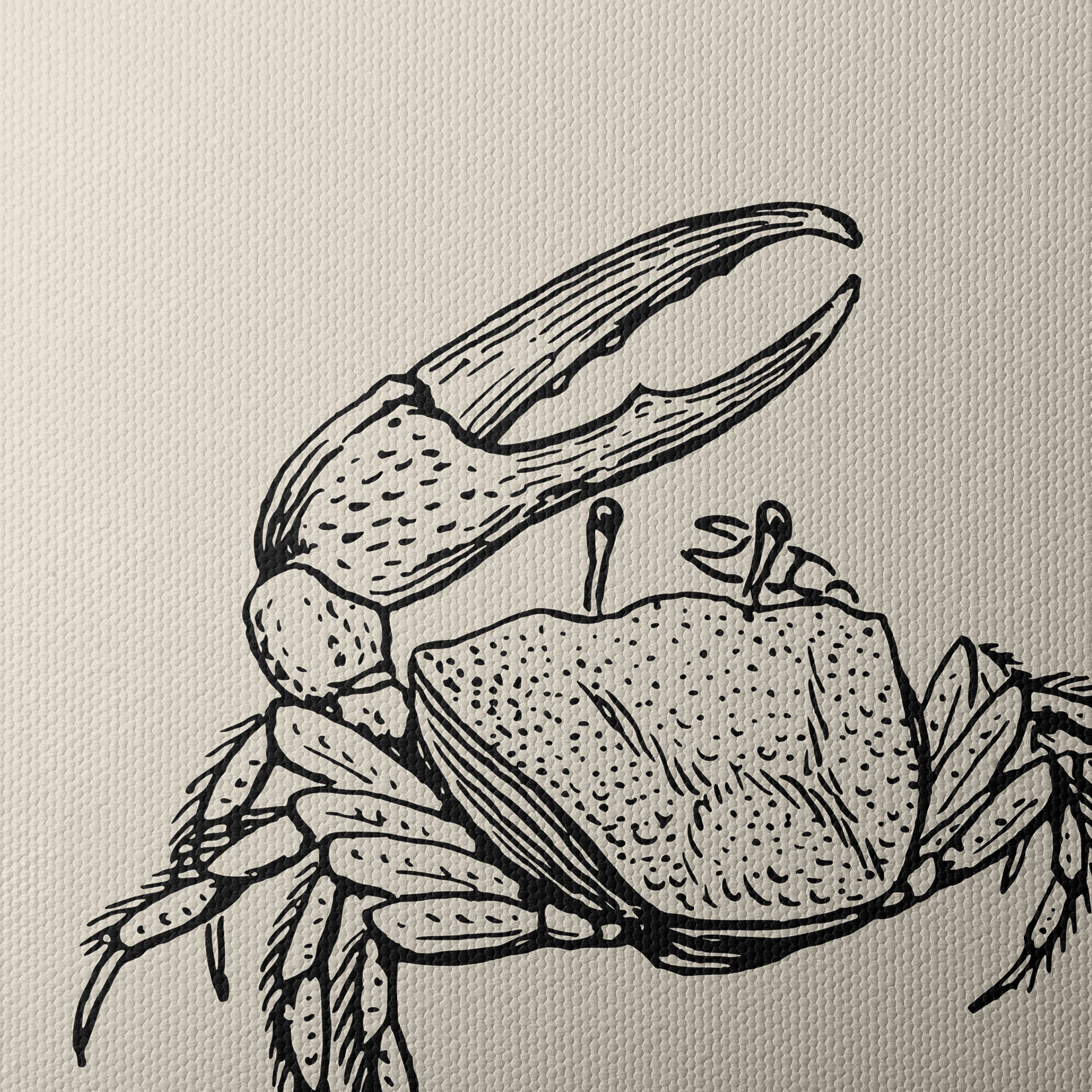 Intricate Anatomical Crab Illustration - Image 4