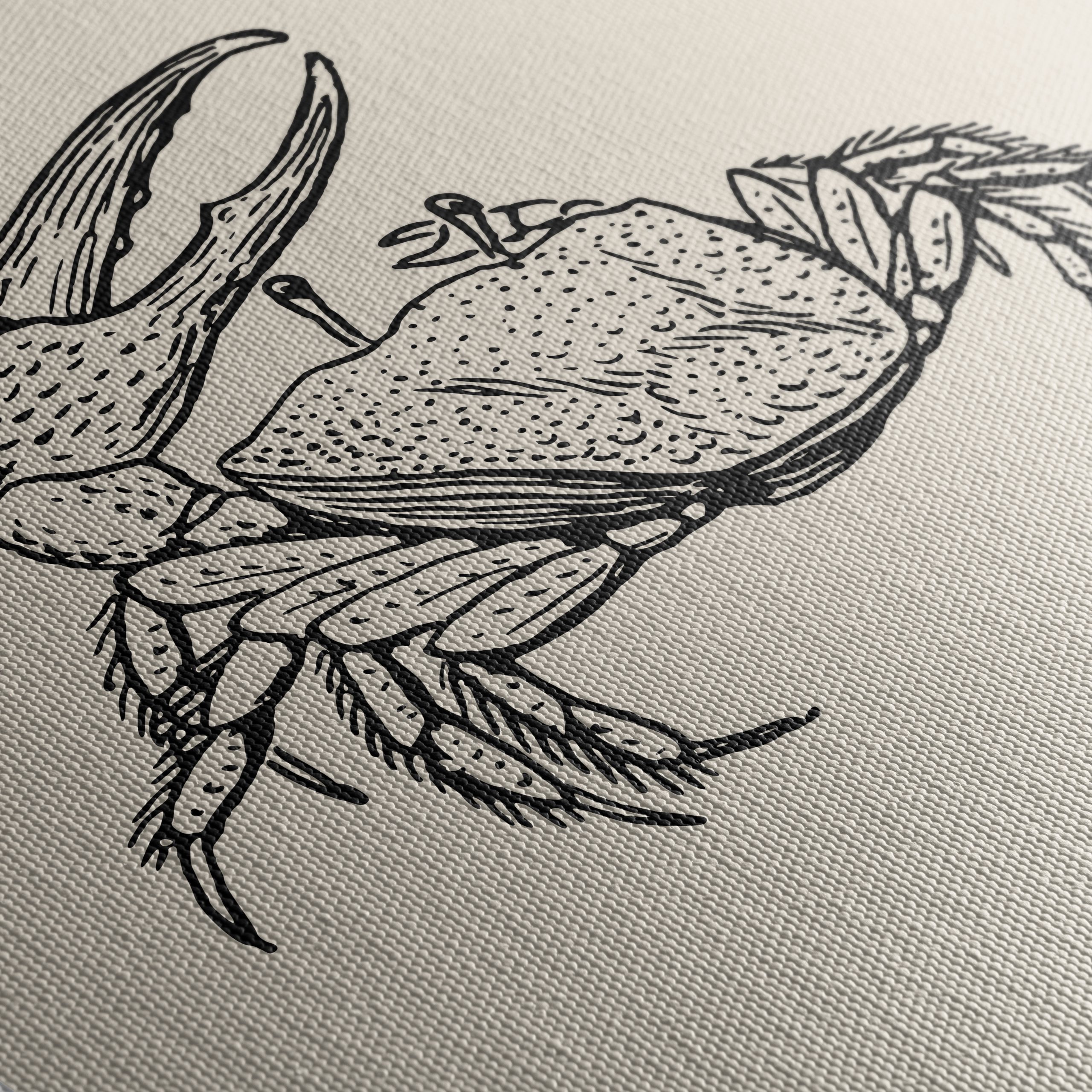 Intricate Anatomical Crab Illustration - Image 5