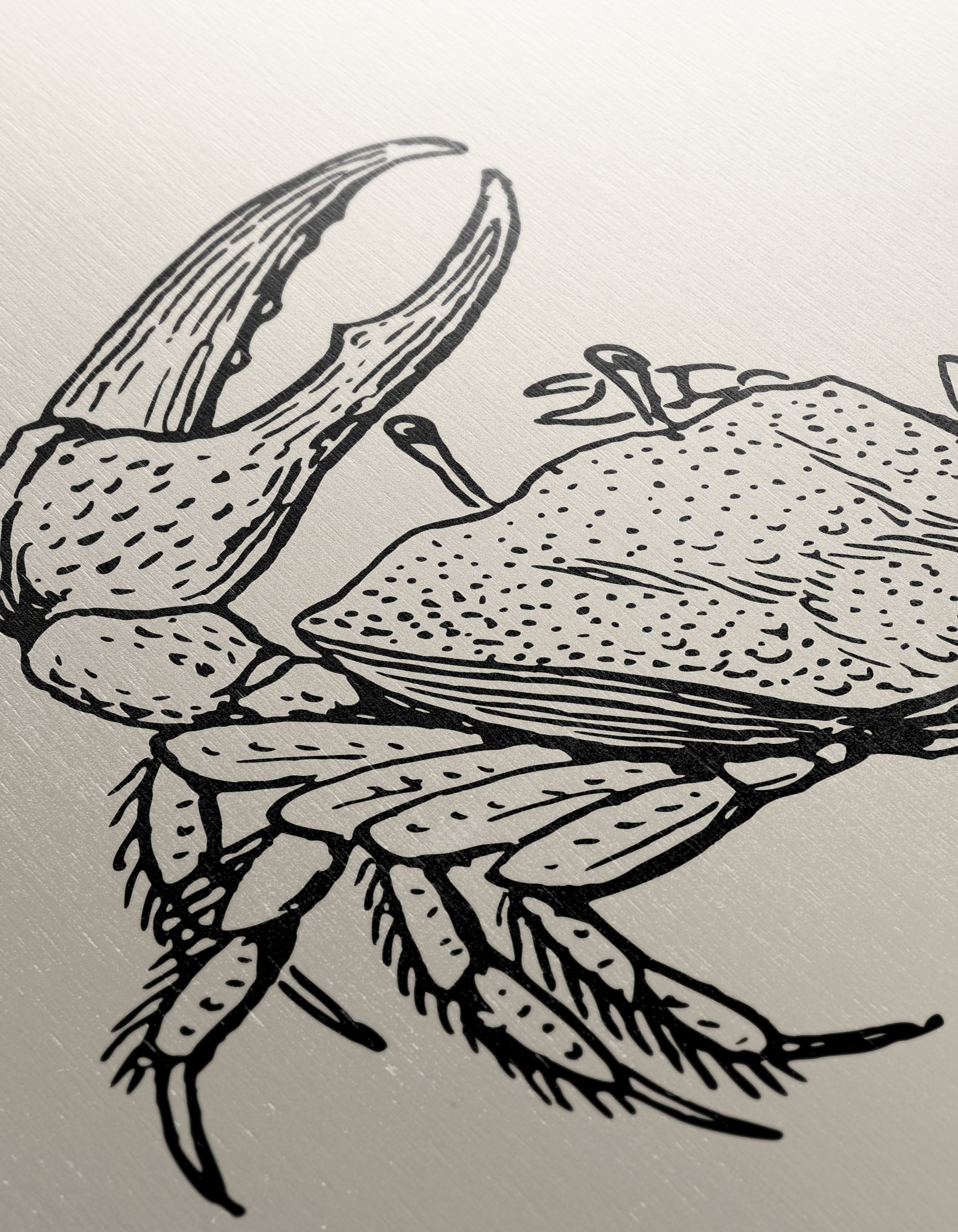 Intricate Anatomical Crab Illustration - Image 12