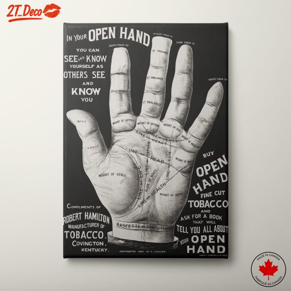 Hand Illustration with Palmistry Elements