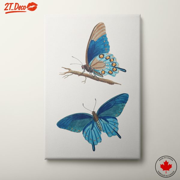 Stunning Blue Butterflies Artwork 2