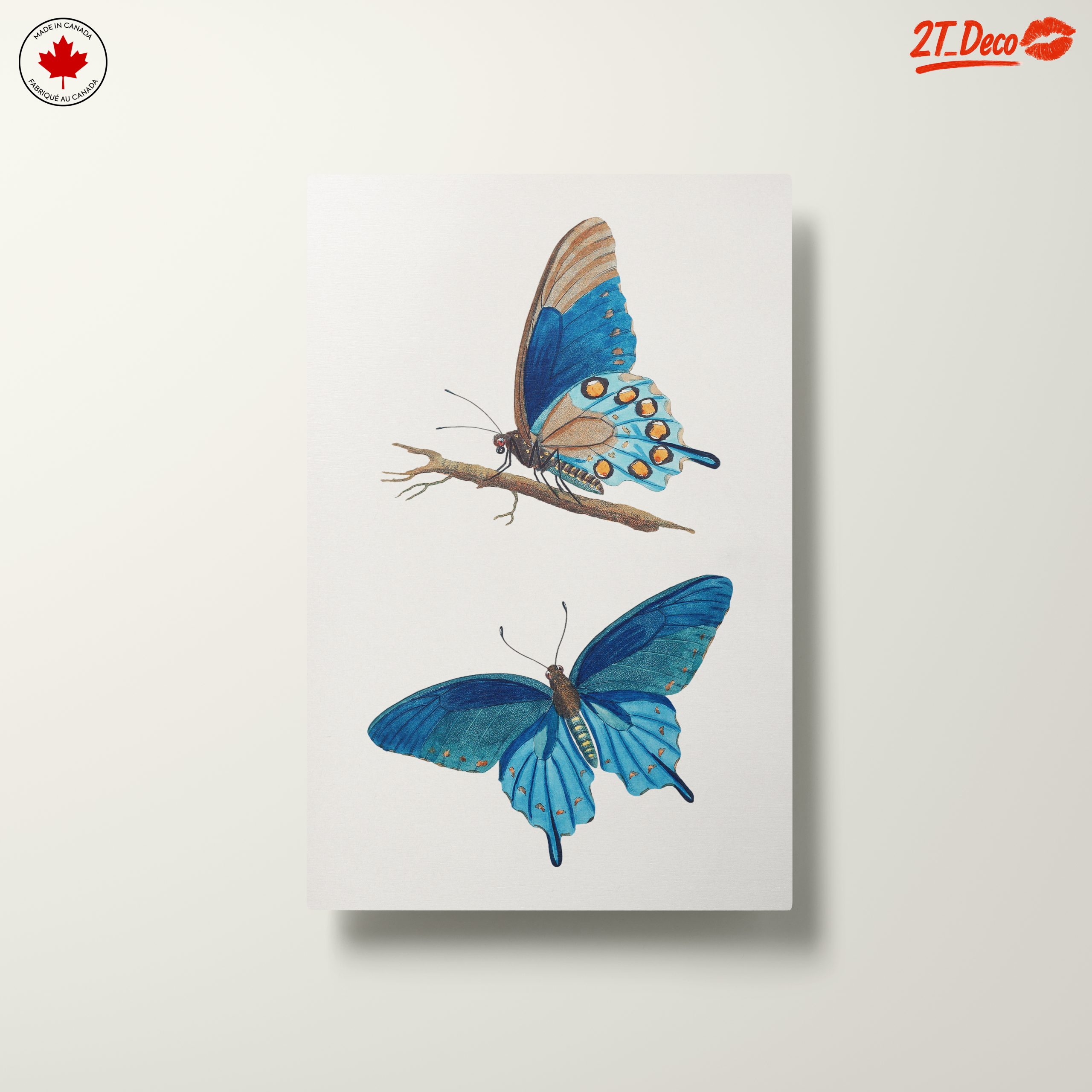 Stunning Blue Butterflies Artwork 2 - Image 10