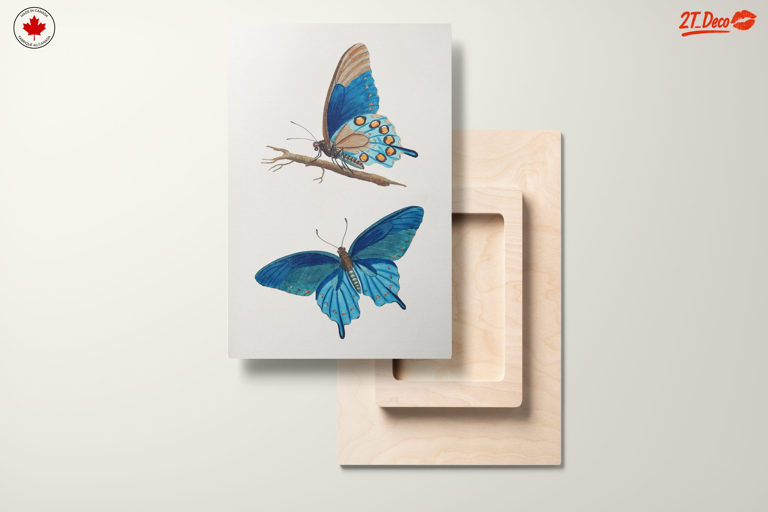 Stunning Blue Butterflies Artwork 2 - Image 11
