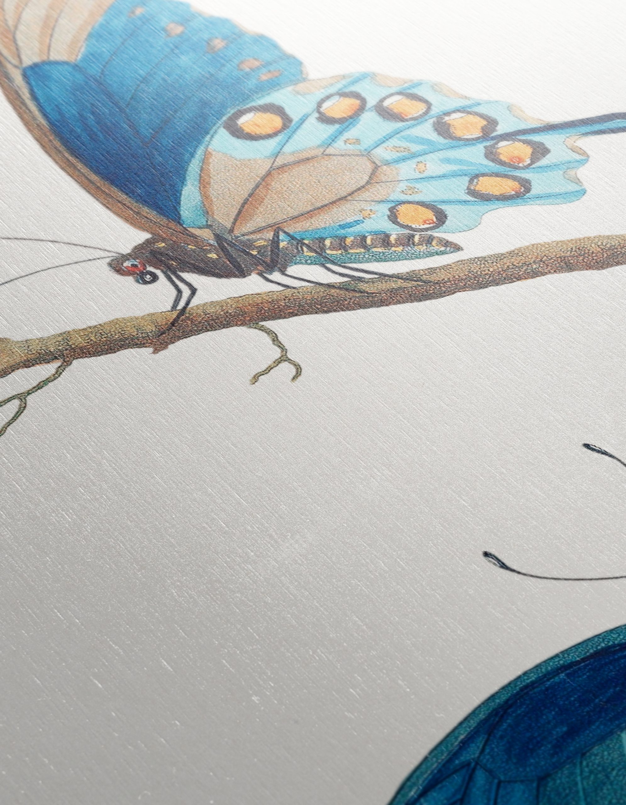 Stunning Blue Butterflies Artwork 2 - Image 12