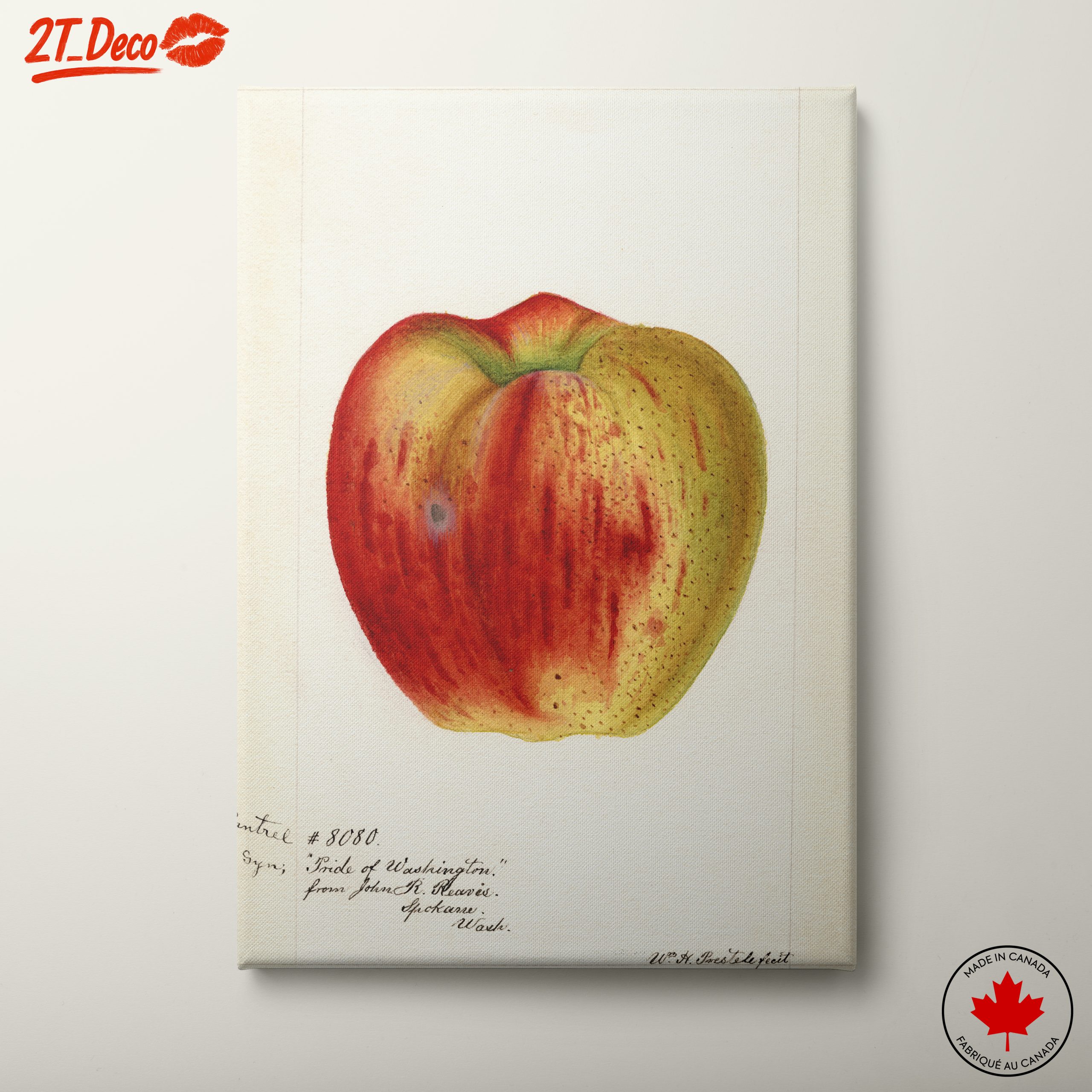 Stylized Apple Artwork in Abstract Style