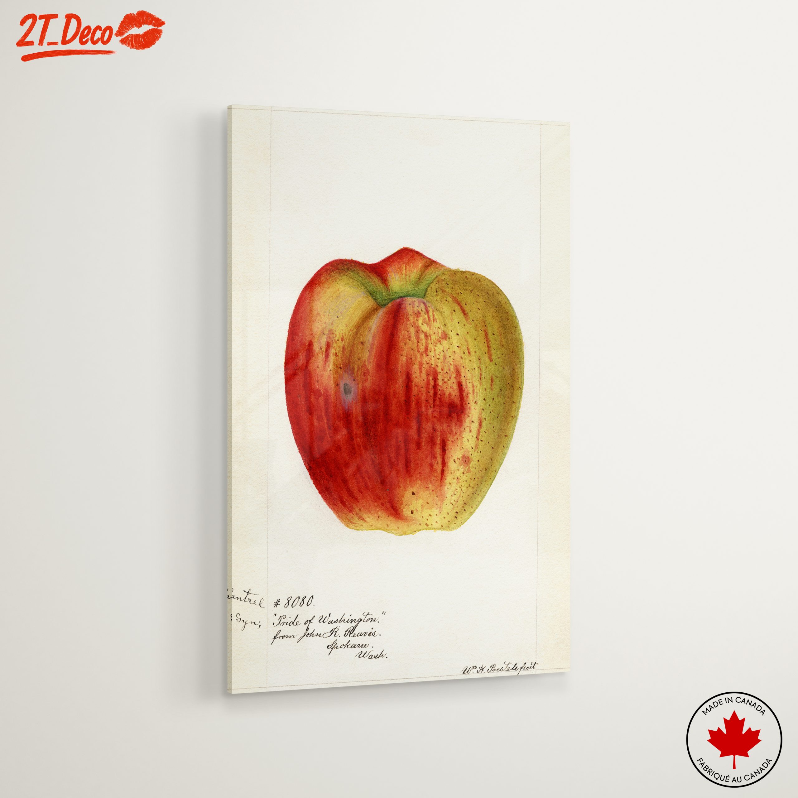 Stylized Apple Artwork in Abstract Style - Image 6