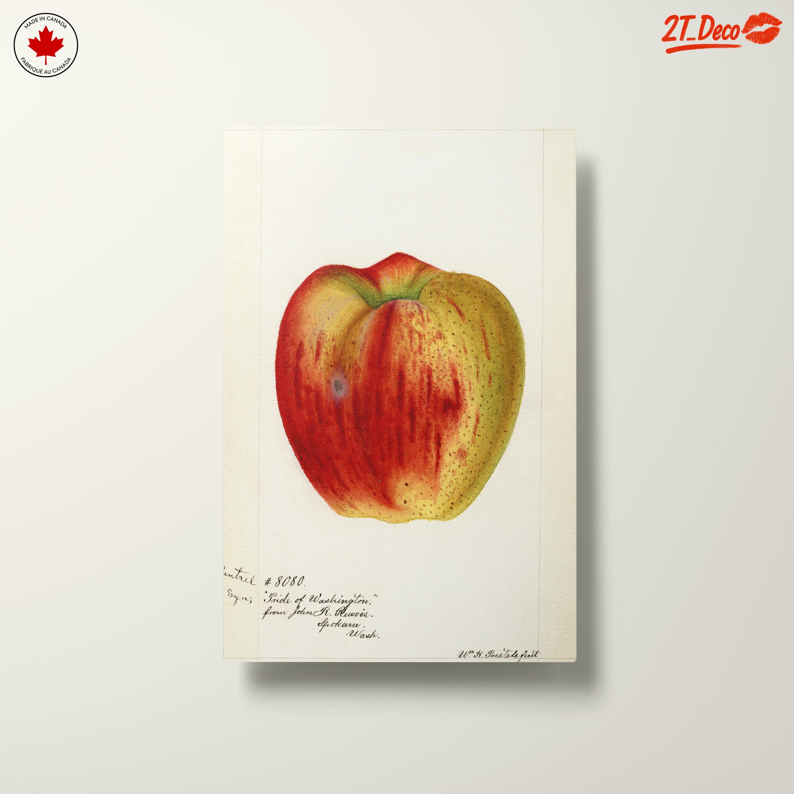 Stylized Apple Artwork in Abstract Style - Image 10