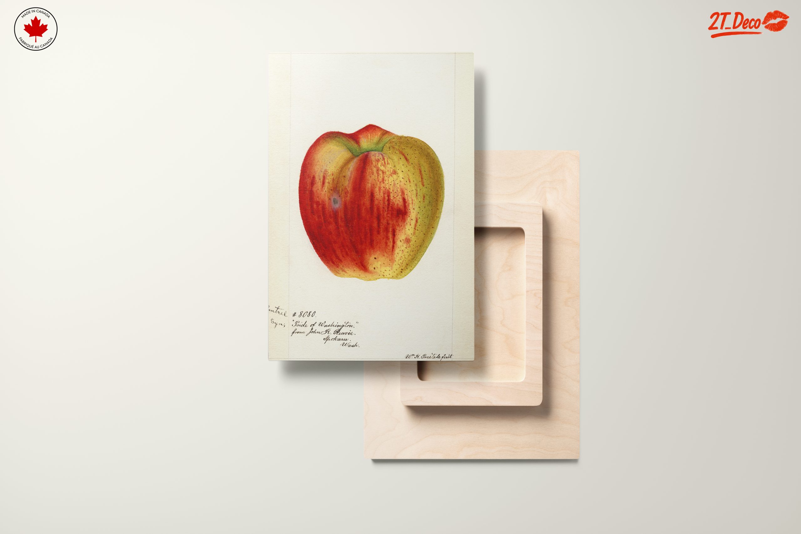 Stylized Apple Artwork in Abstract Style - Image 11