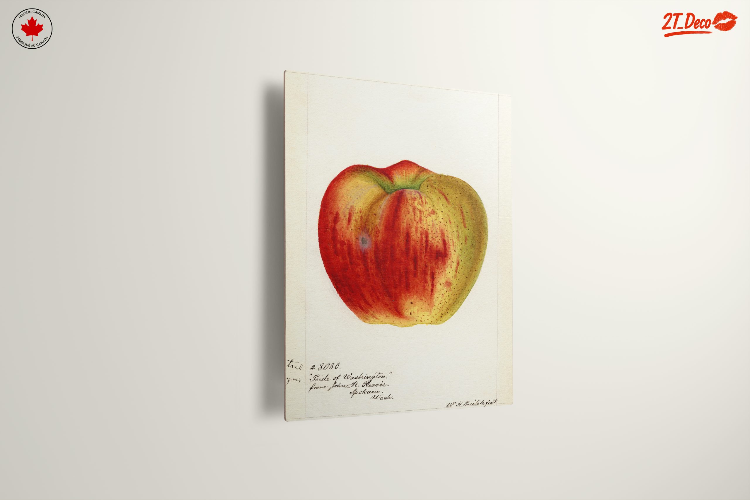 Stylized Apple Artwork in Abstract Style - Image 13