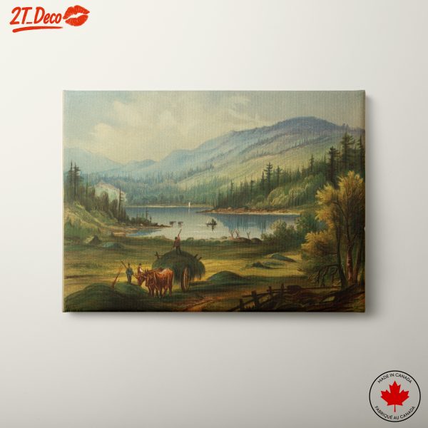 Serene Nature Landscape Featuring a Tranquil Pond