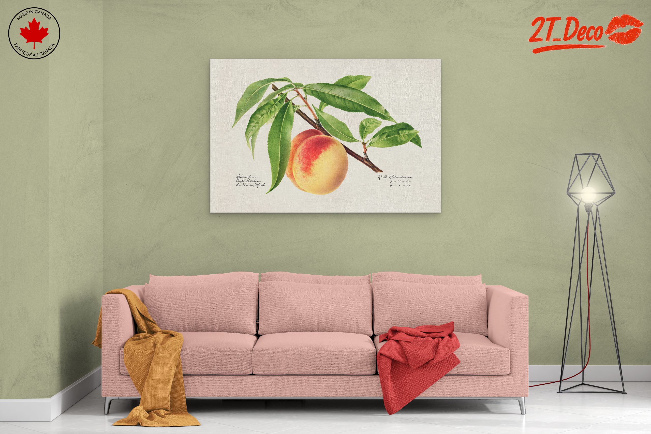 Peach and Leaves Botanical Art - Image 2