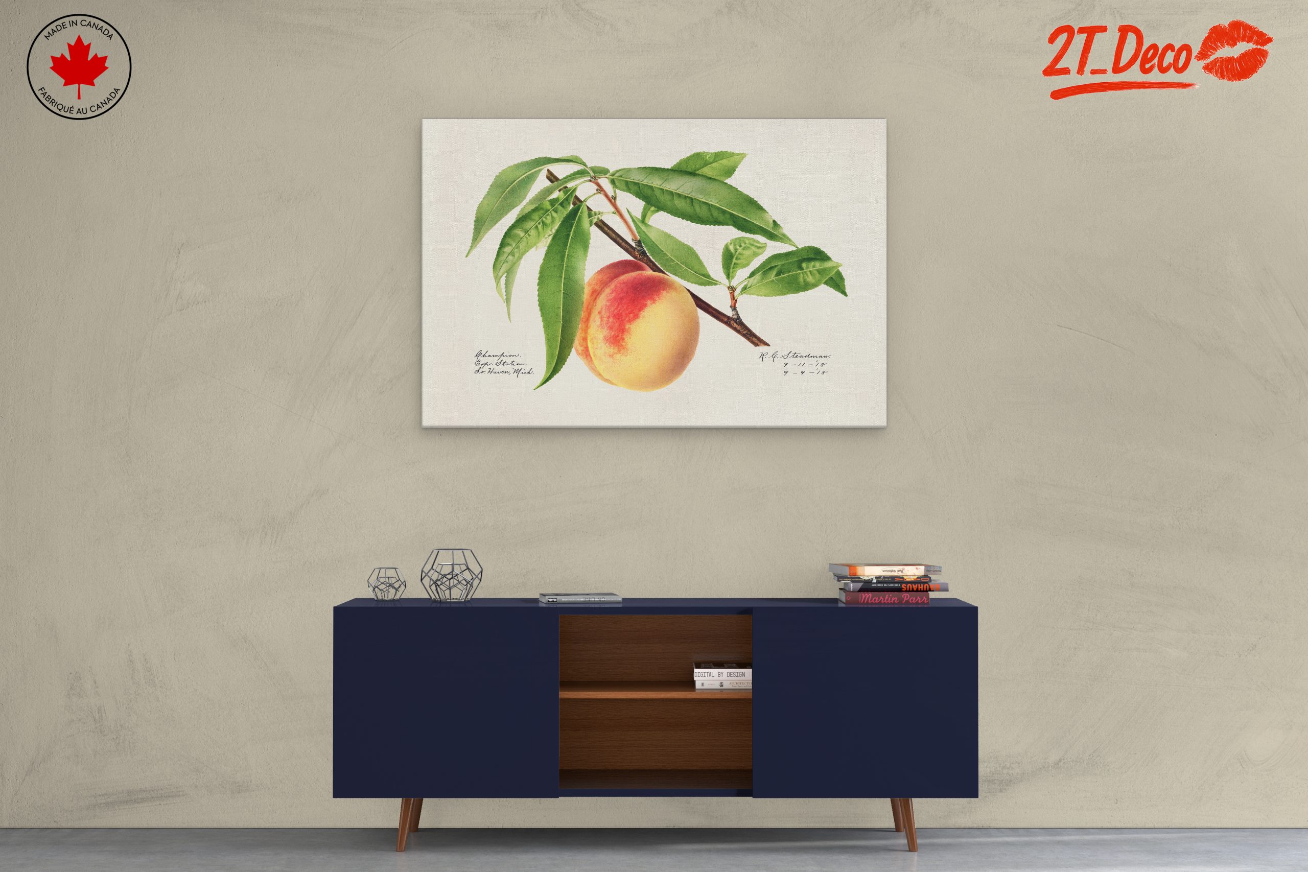 Peach and Leaves Botanical Art - Image 3