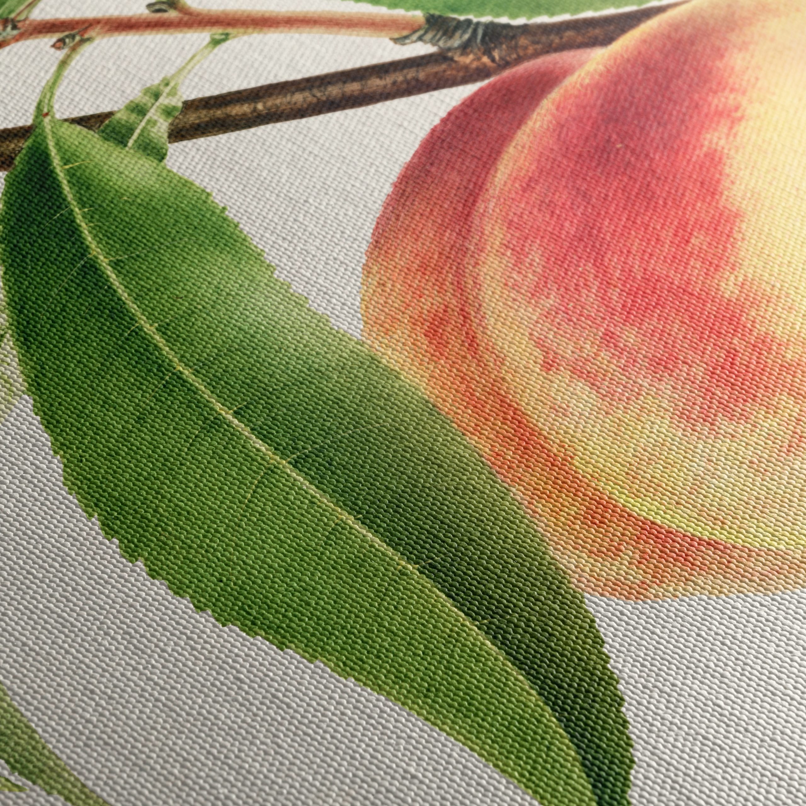 Peach and Leaves Botanical Art - Image 5
