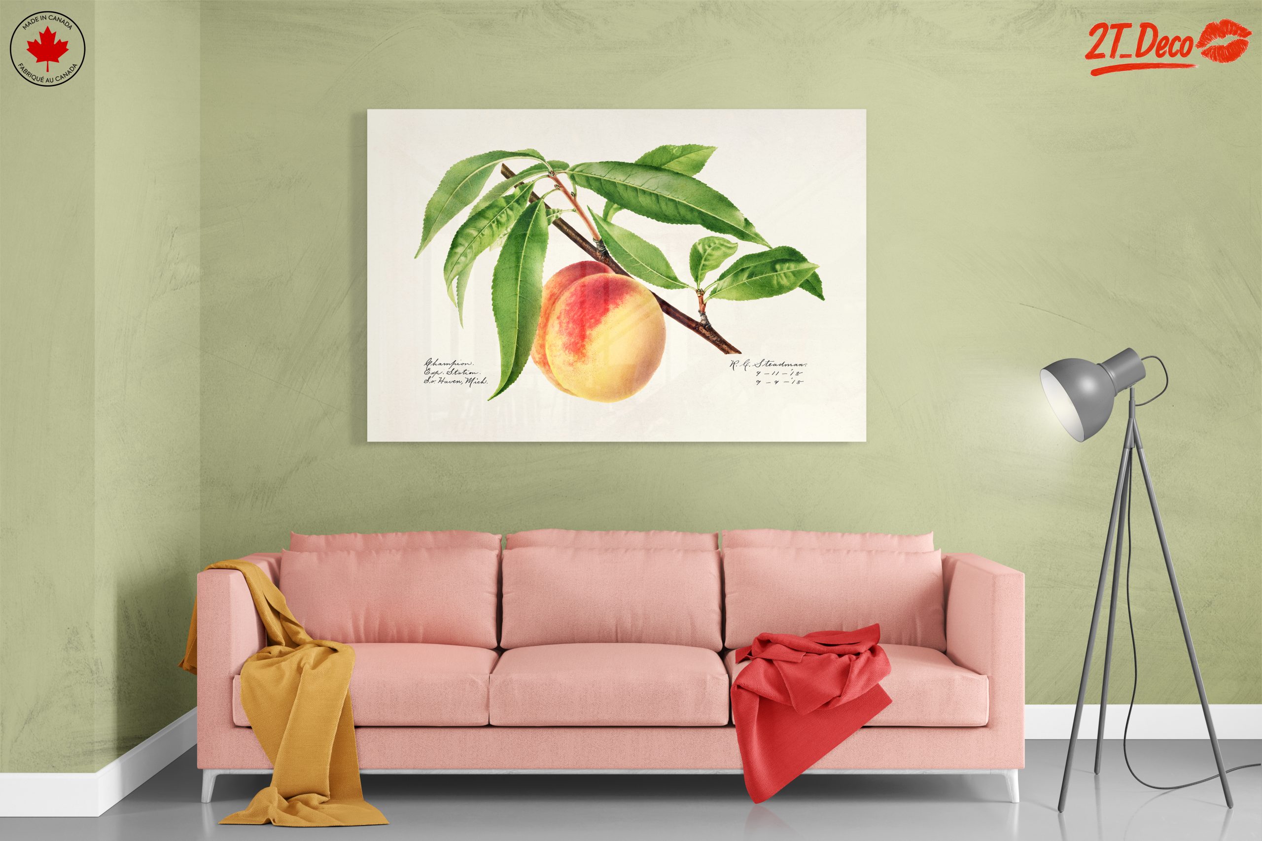 Peach and Leaves Botanical Art - Image 7