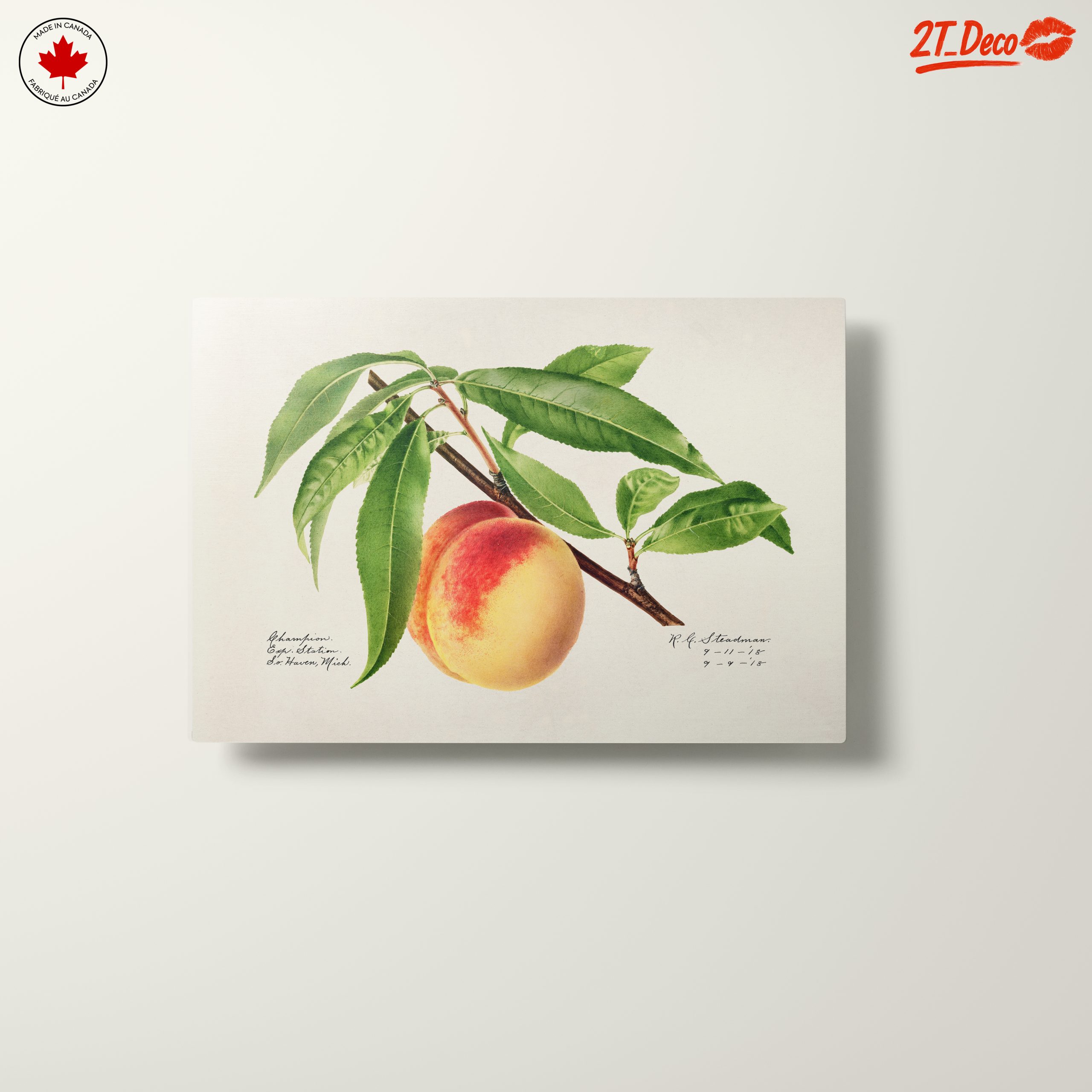 Peach and Leaves Botanical Art - Image 10