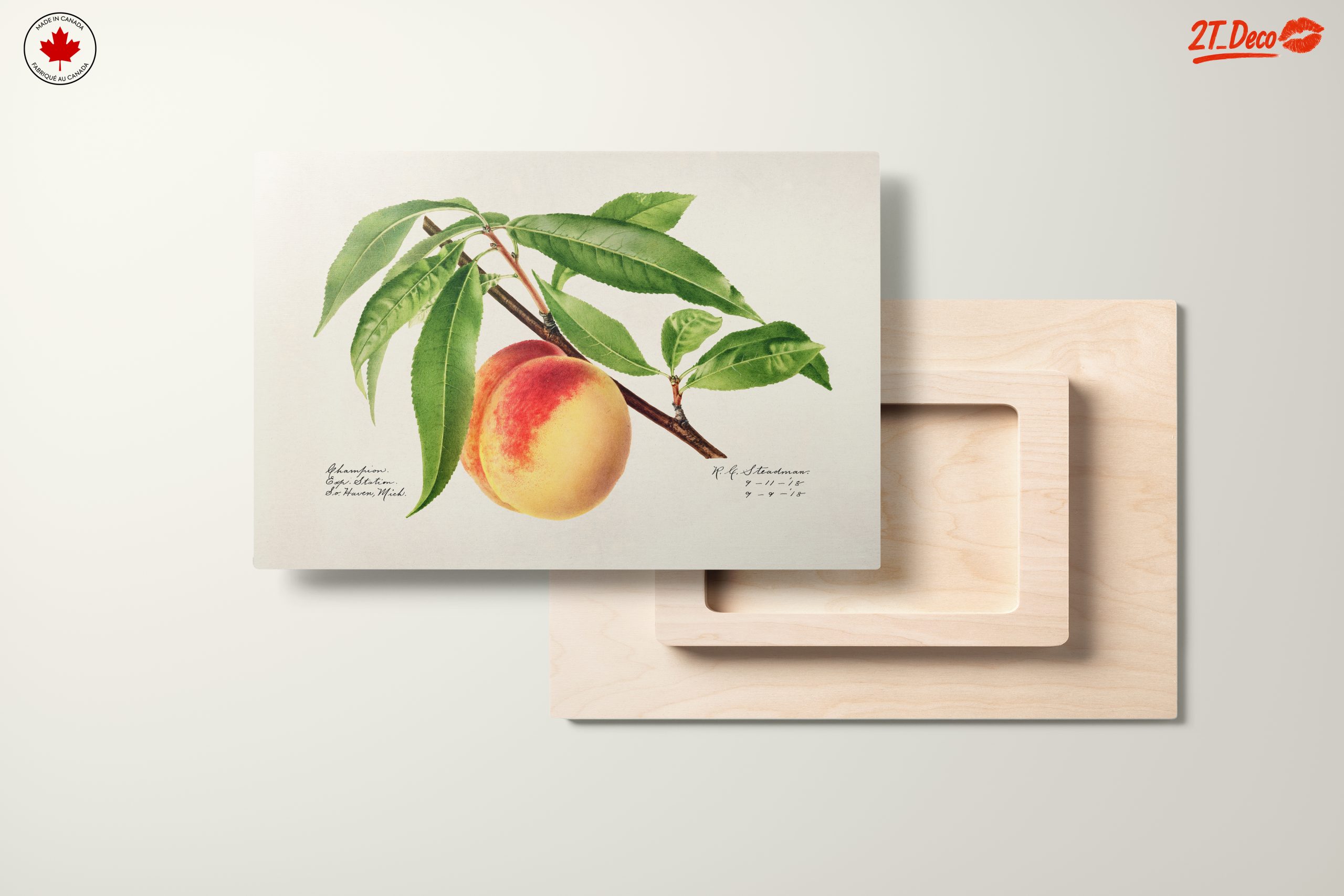 Peach and Leaves Botanical Art - Image 11