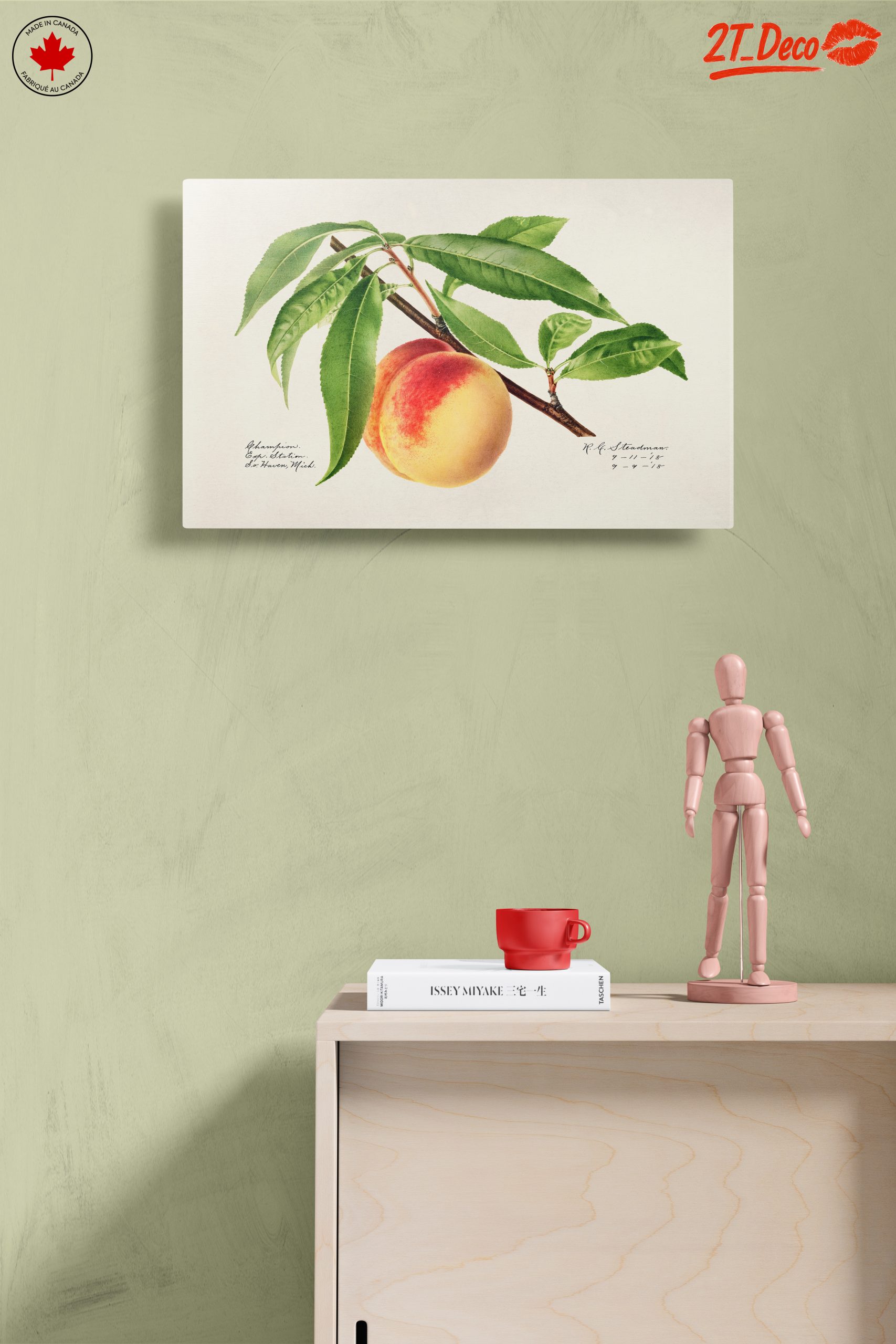 Peach and Leaves Botanical Art - Image 14