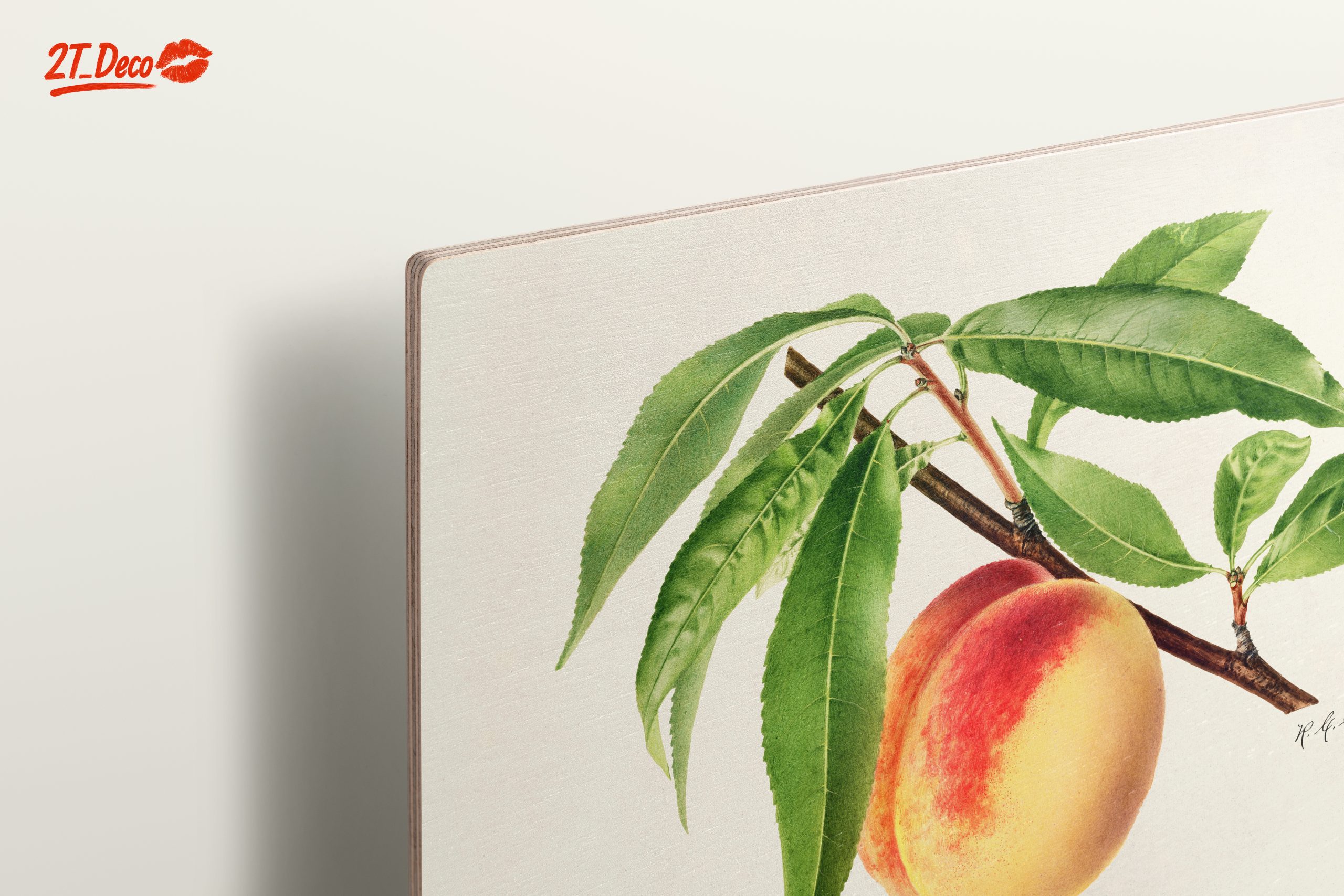 Peach and Leaves Botanical Art - Image 15
