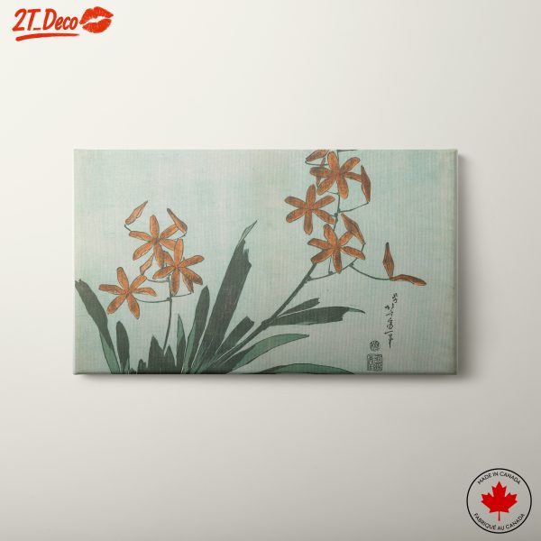 Elegant Floral Display on Soft Blue Background
