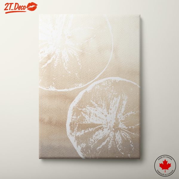 Minimalist Abstract Food Art with Citrus Slices