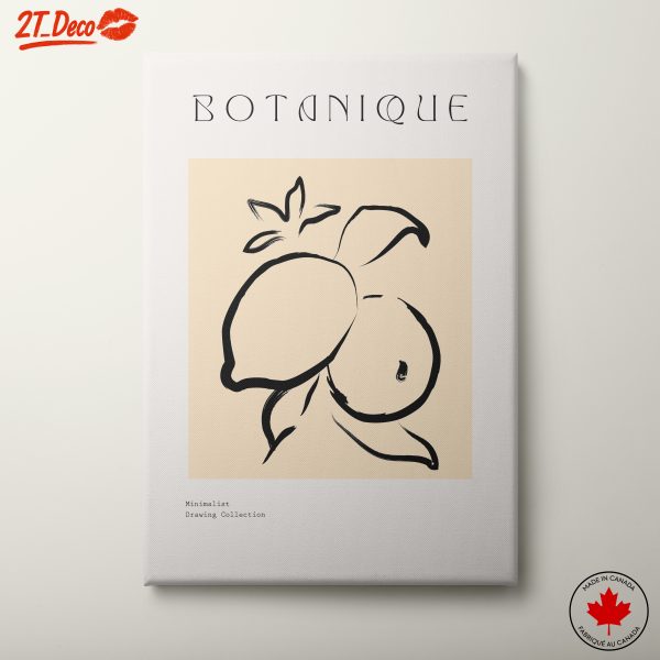 Minimalist Botanical Artwork Featuring Fruits