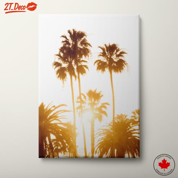 Sunlit Palm Trees in Nature
