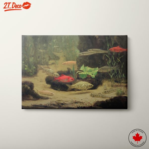 Underwater Scene with Colorful Fish