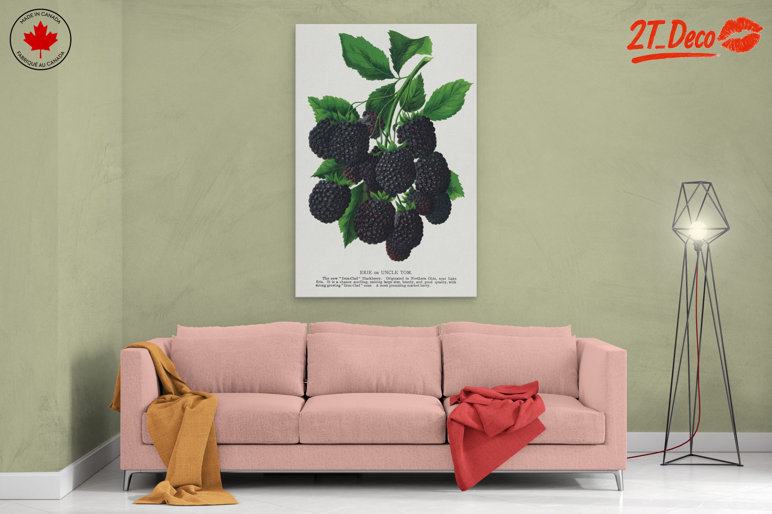 Blackberry Botanical Illustration - Image 2