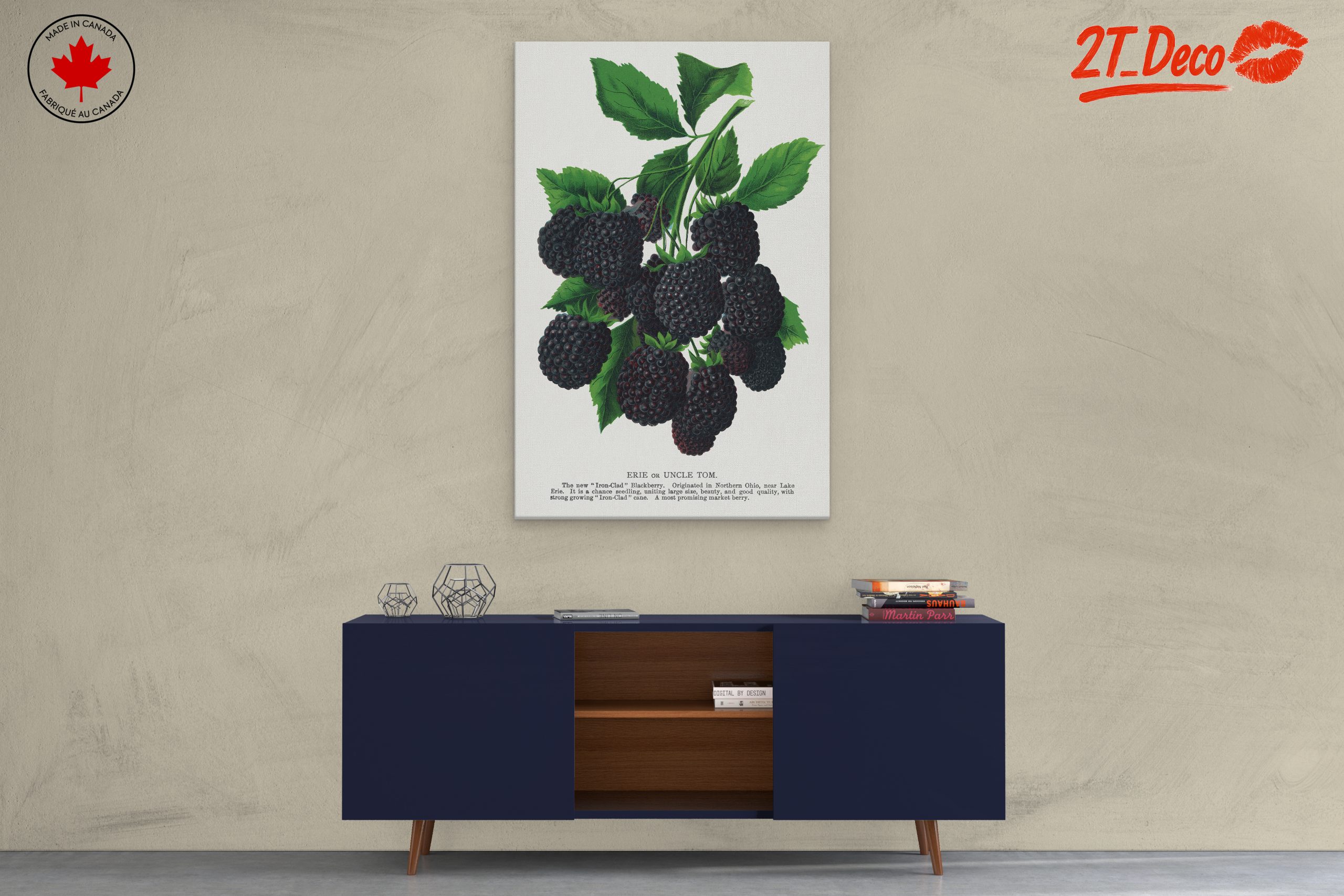 Blackberry Botanical Illustration - Image 3