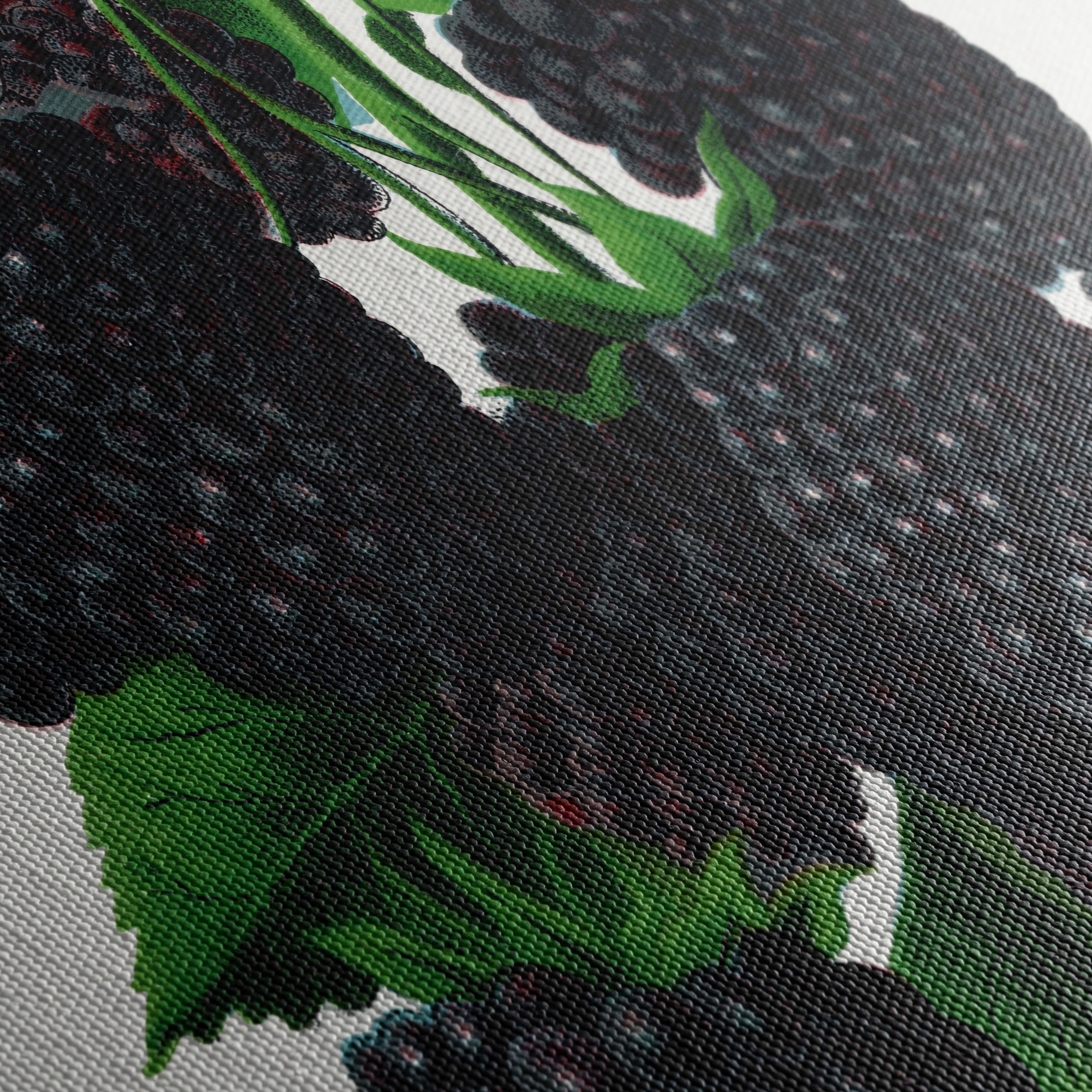 Blackberry Botanical Illustration - Image 5