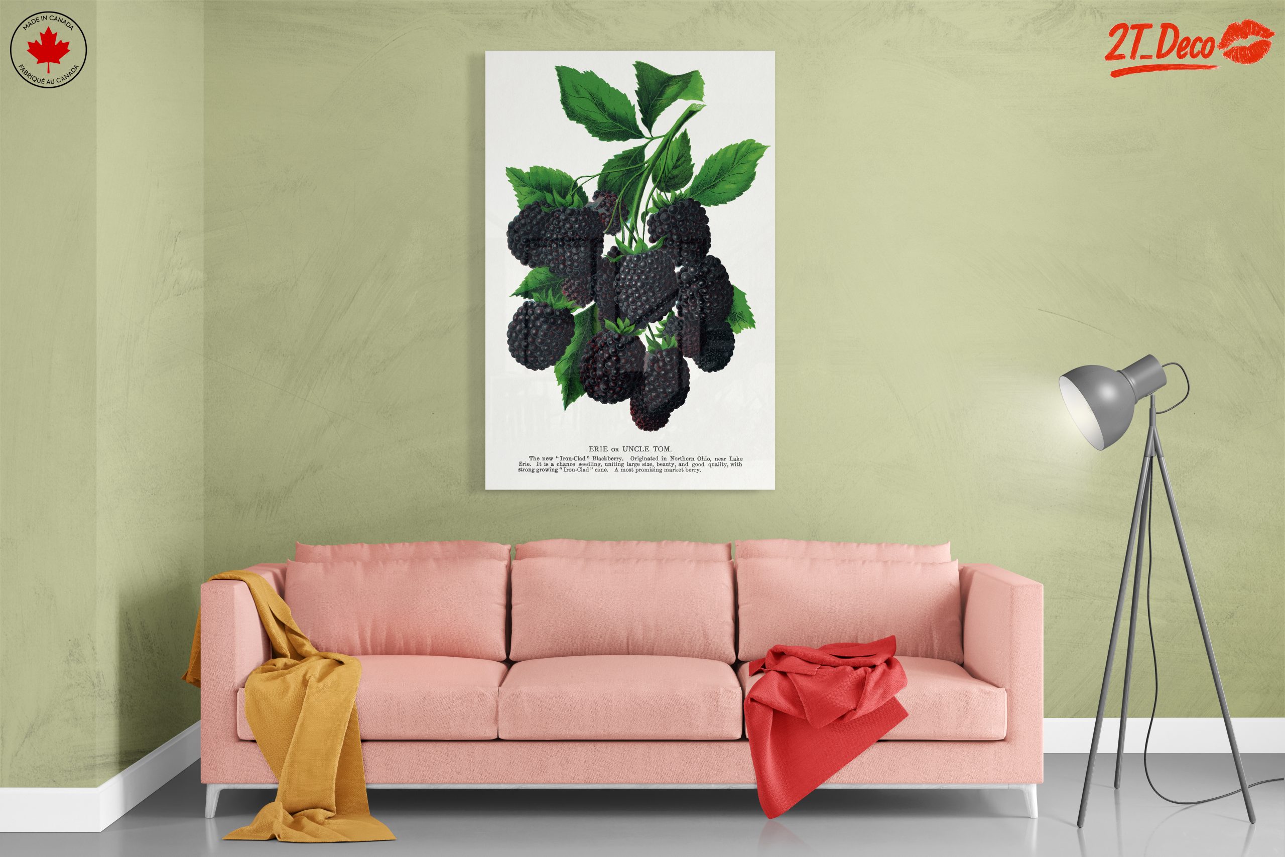 Blackberry Botanical Illustration - Image 7