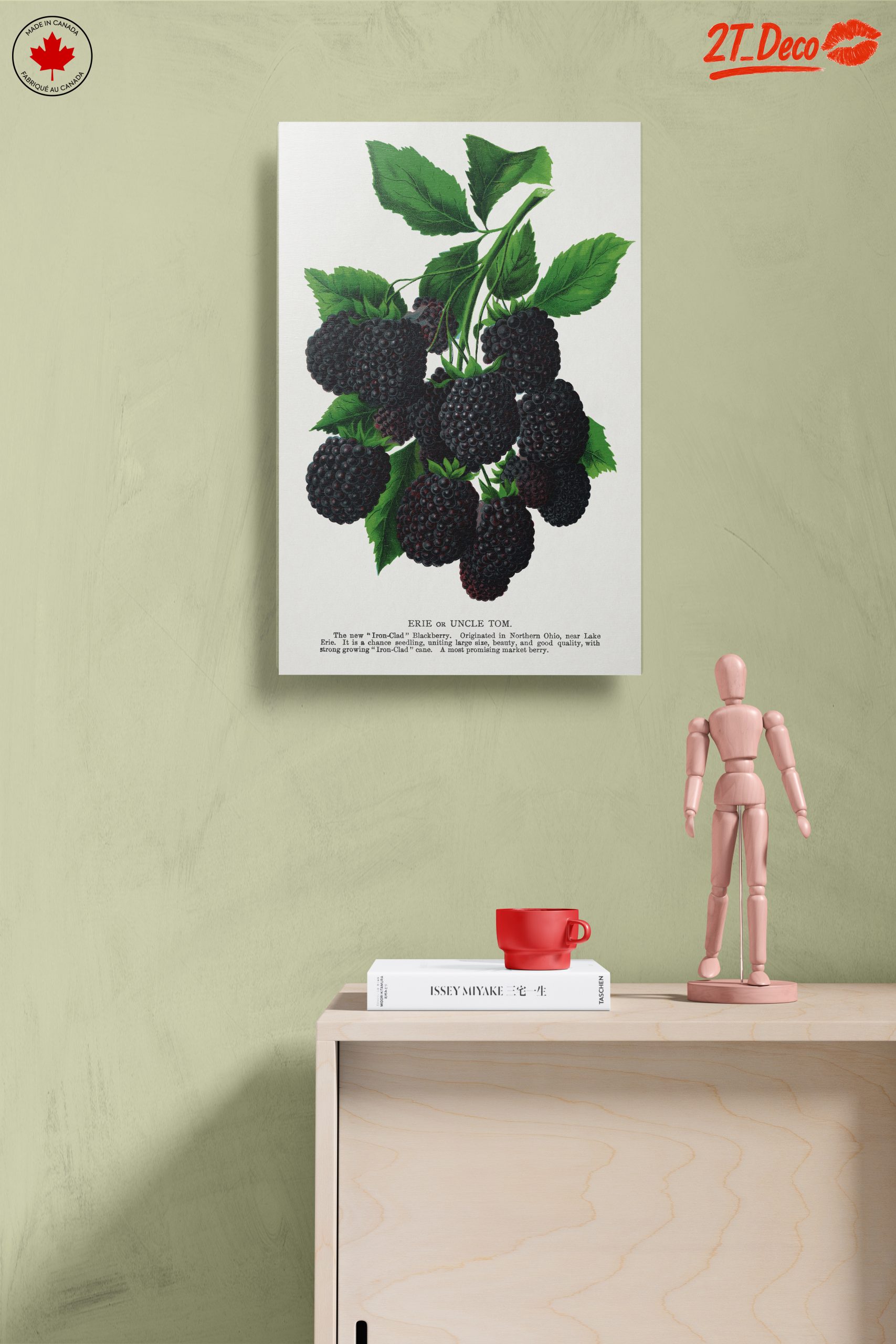 Blackberry Botanical Illustration - Image 14