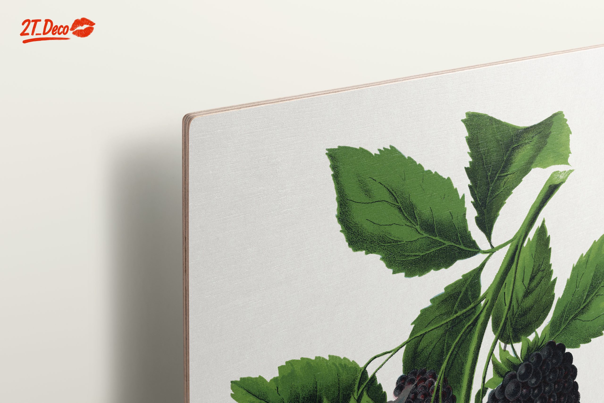 Blackberry Botanical Illustration - Image 15