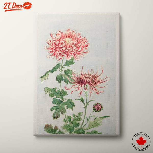 Beautiful Botanical Chrysanthemum Art