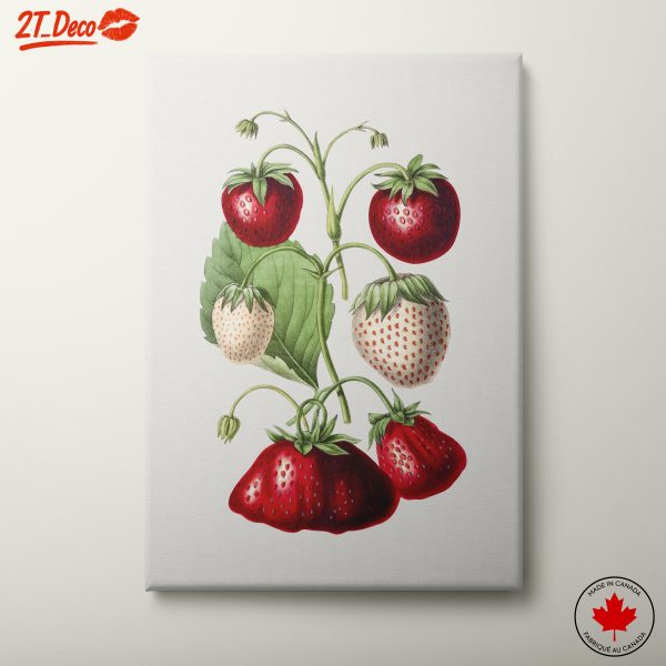 Stylized Strawberry Illustration Artwork