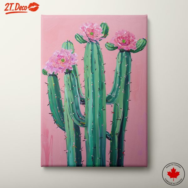 Cacti With Pink Flowers Against Pink Background