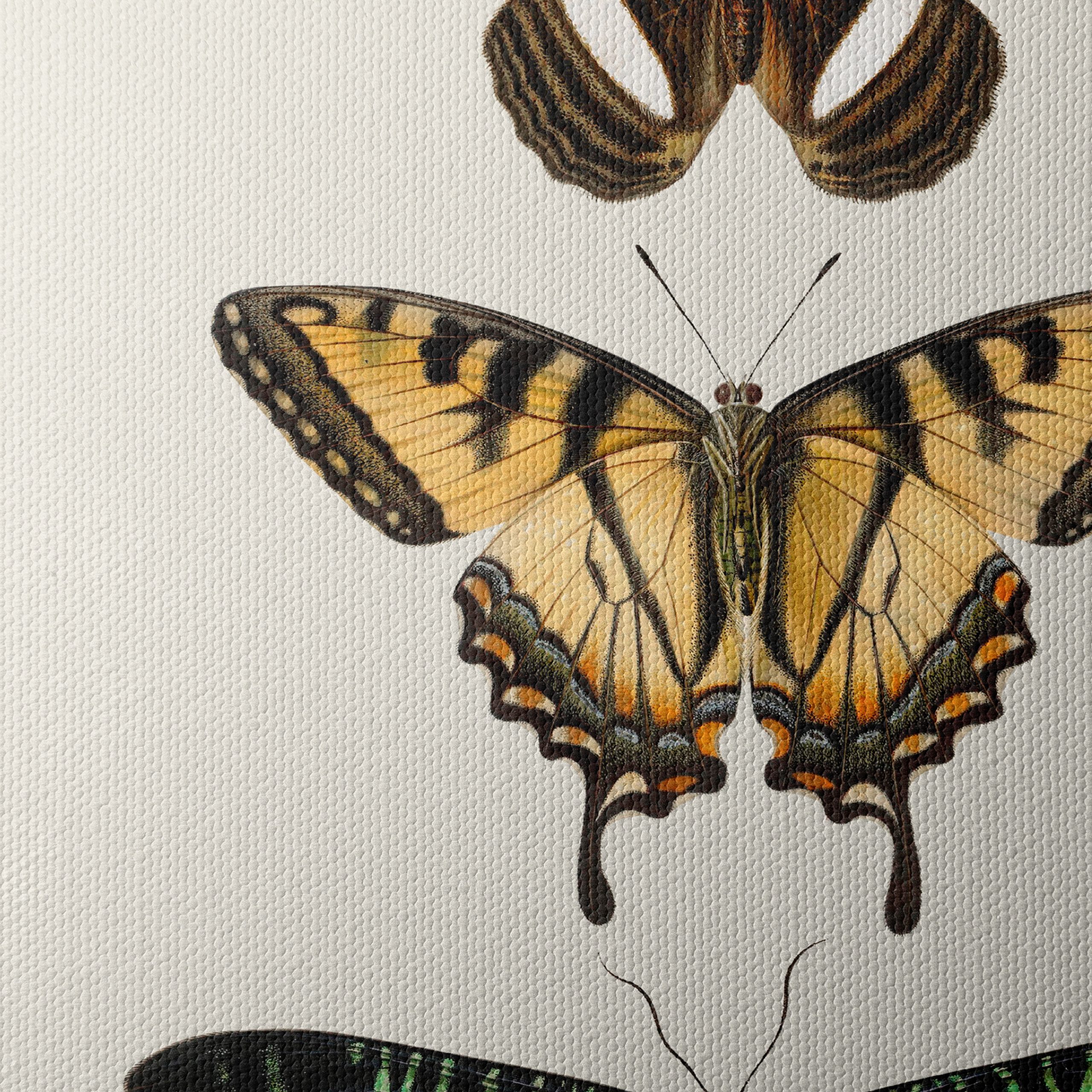 Beautiful Butterfly Illustrations - Image 4