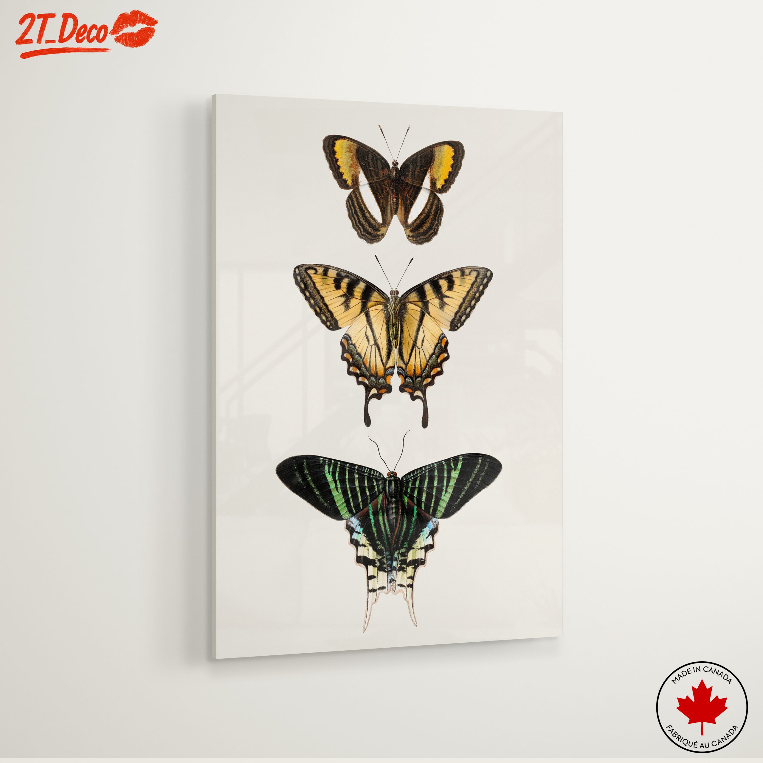 Beautiful Butterfly Illustrations - Image 6