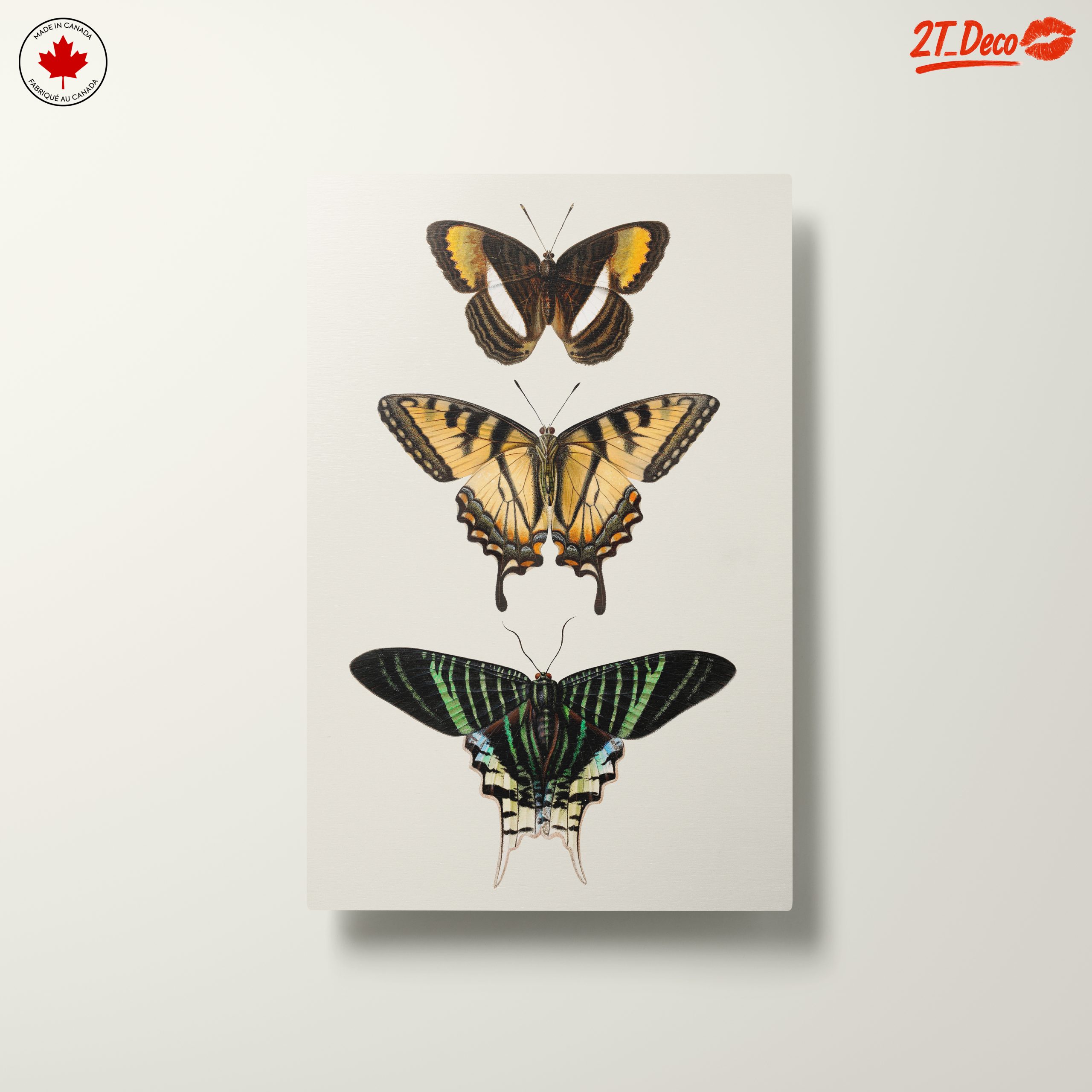 Beautiful Butterfly Illustrations - Image 10