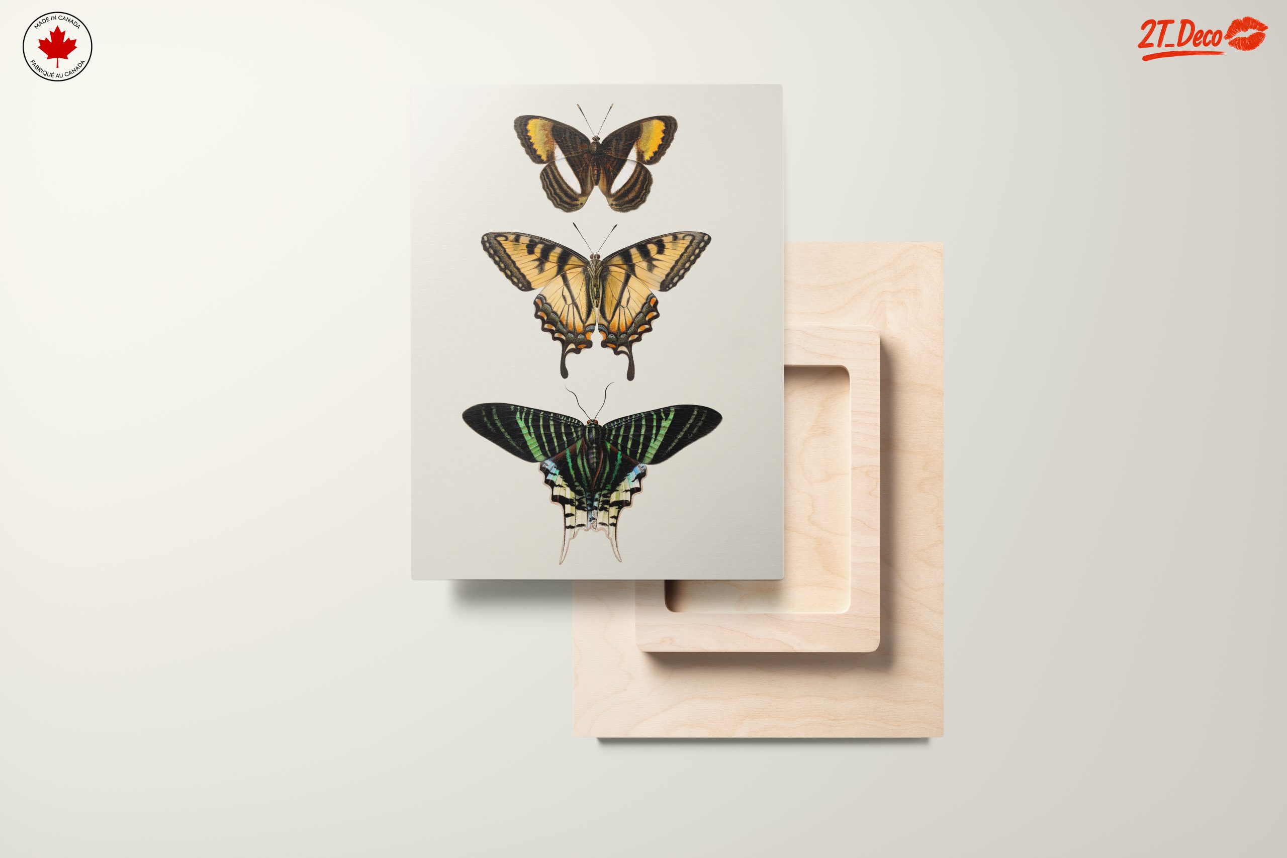 Beautiful Butterfly Illustrations - Image 11