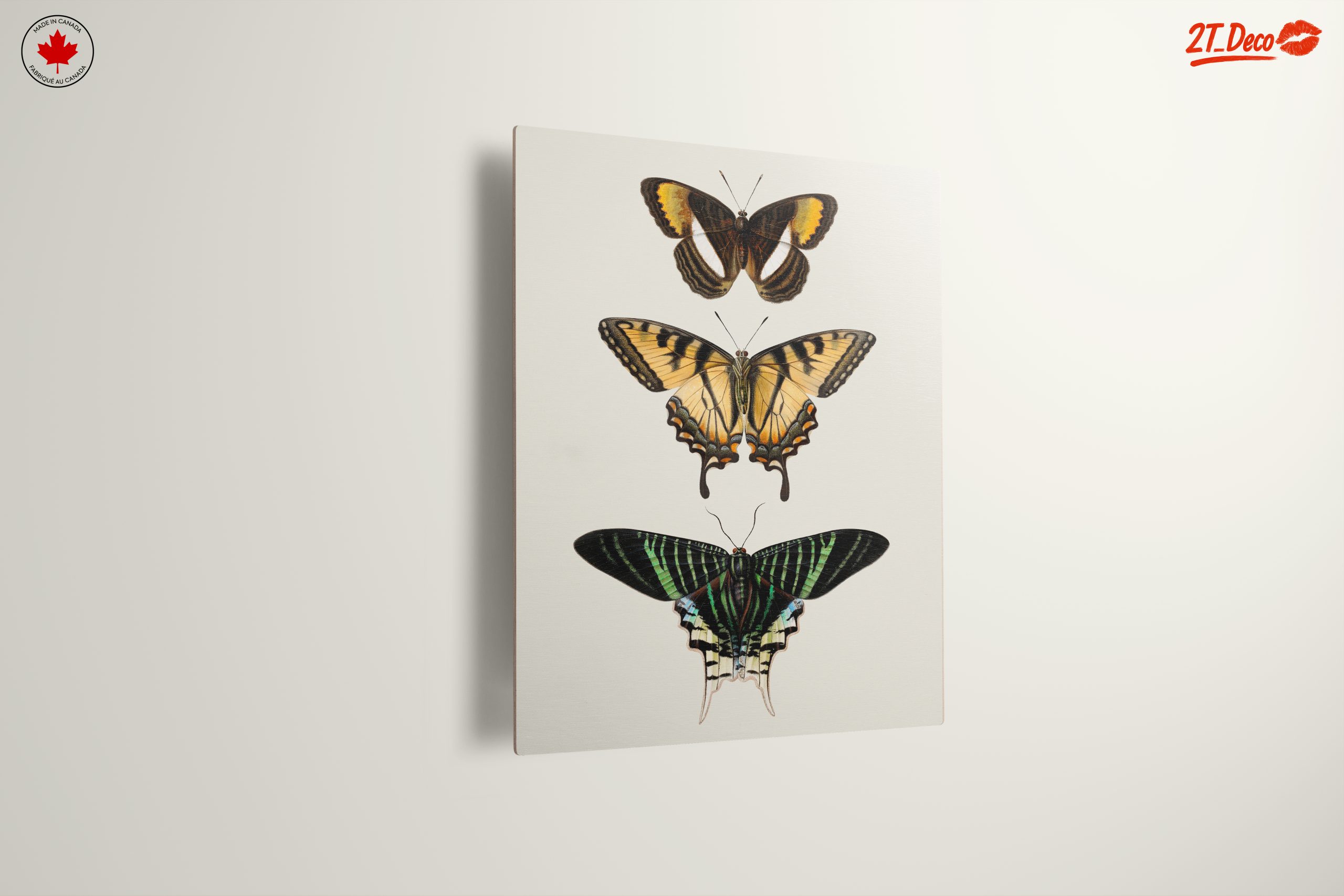 Beautiful Butterfly Illustrations - Image 13