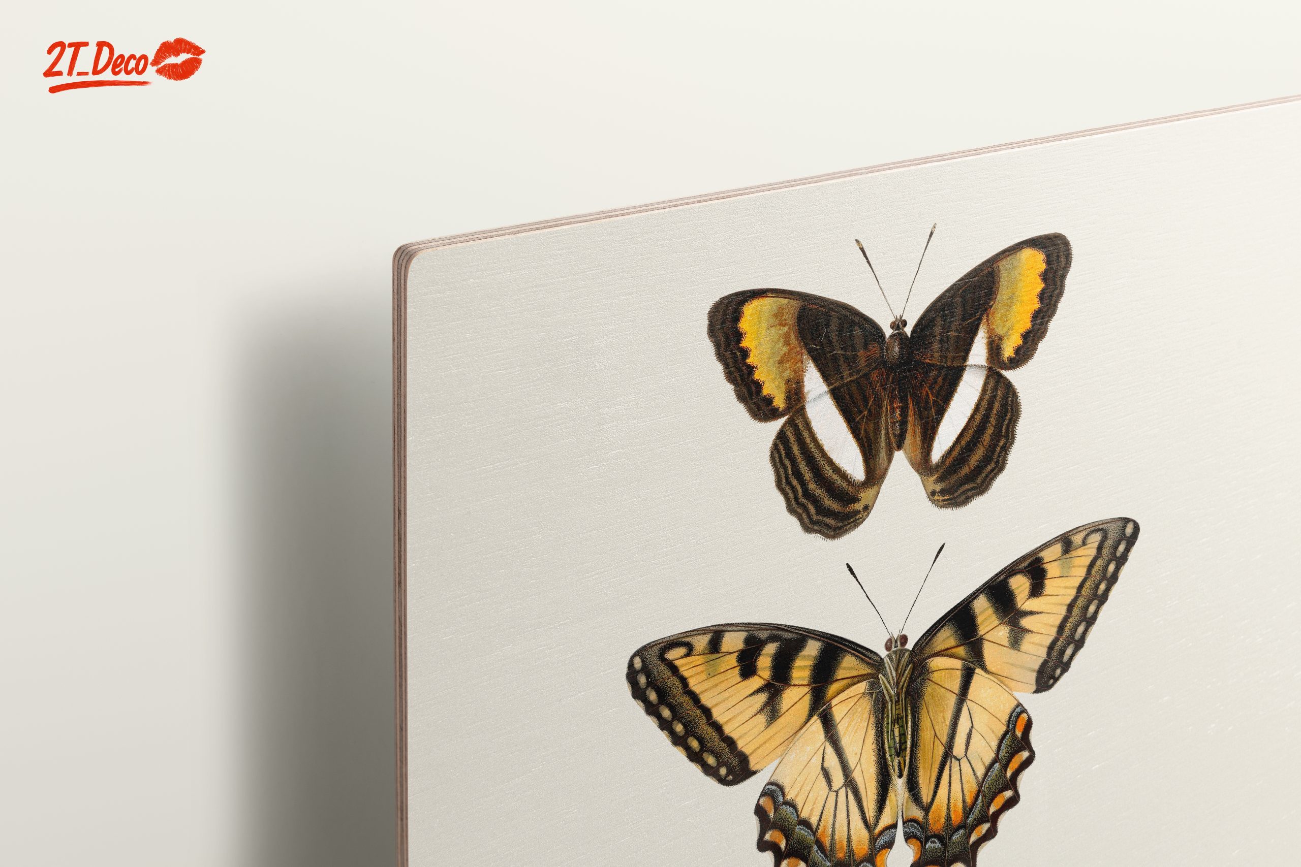 Beautiful Butterfly Illustrations - Image 15