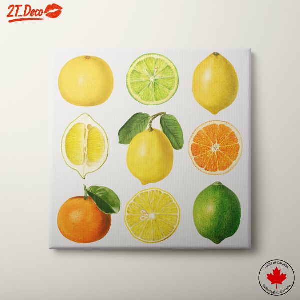 Citrus Fruit Abstract Art for Modern Kitchens