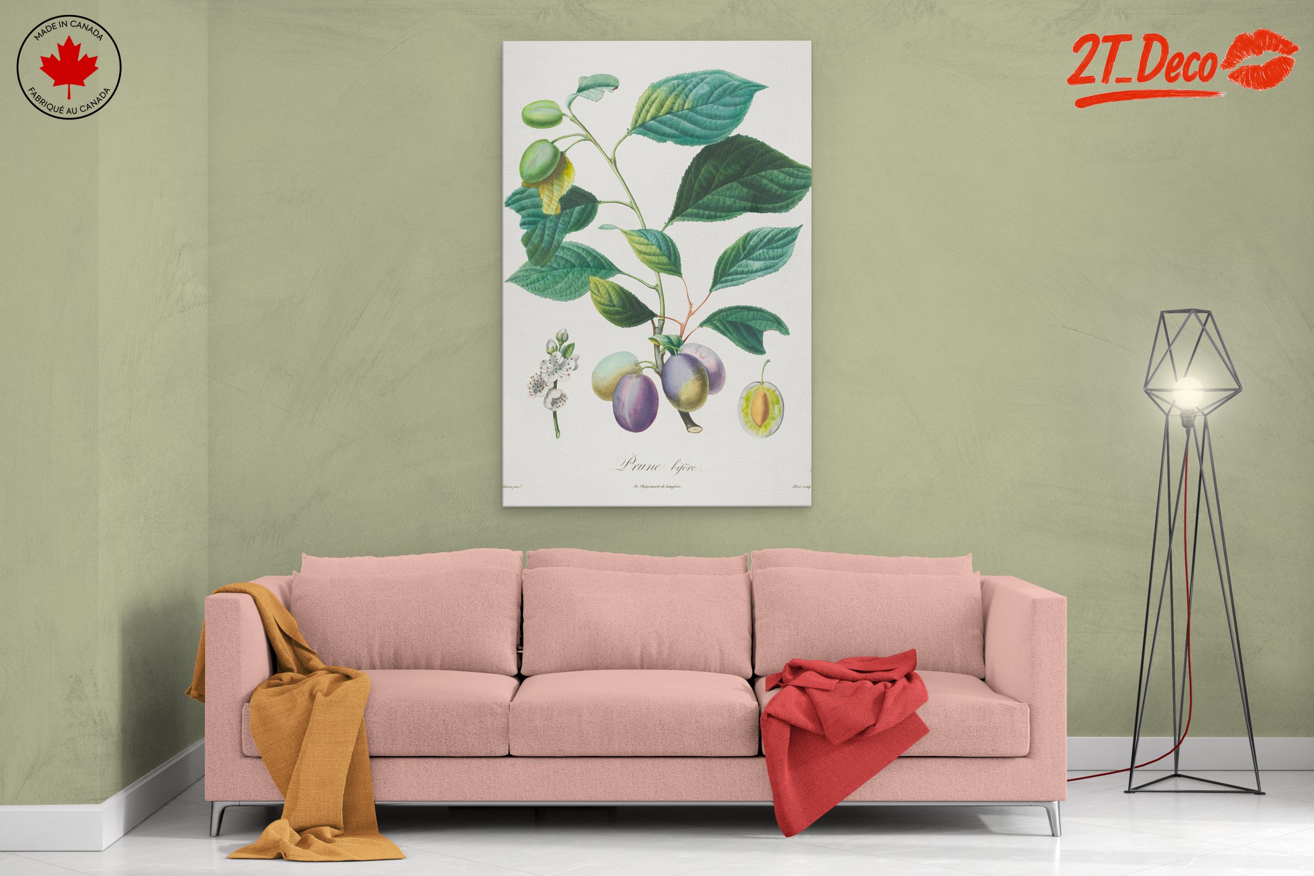 Beautiful Botanical Illustration of Plums - Image 2