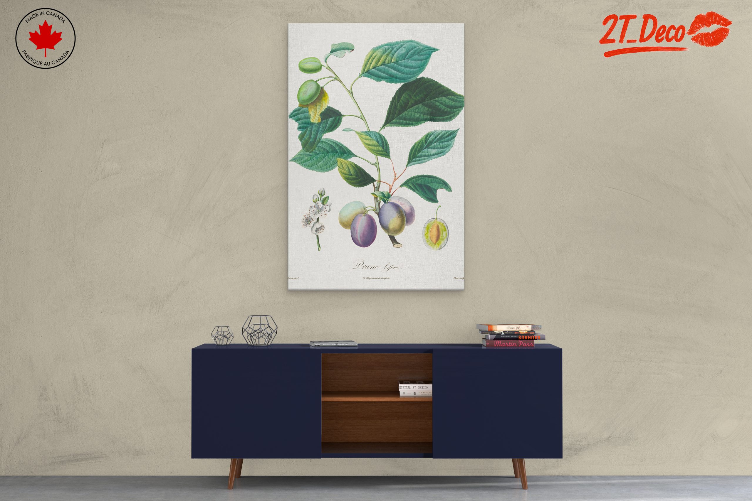 Beautiful Botanical Illustration of Plums - Image 3