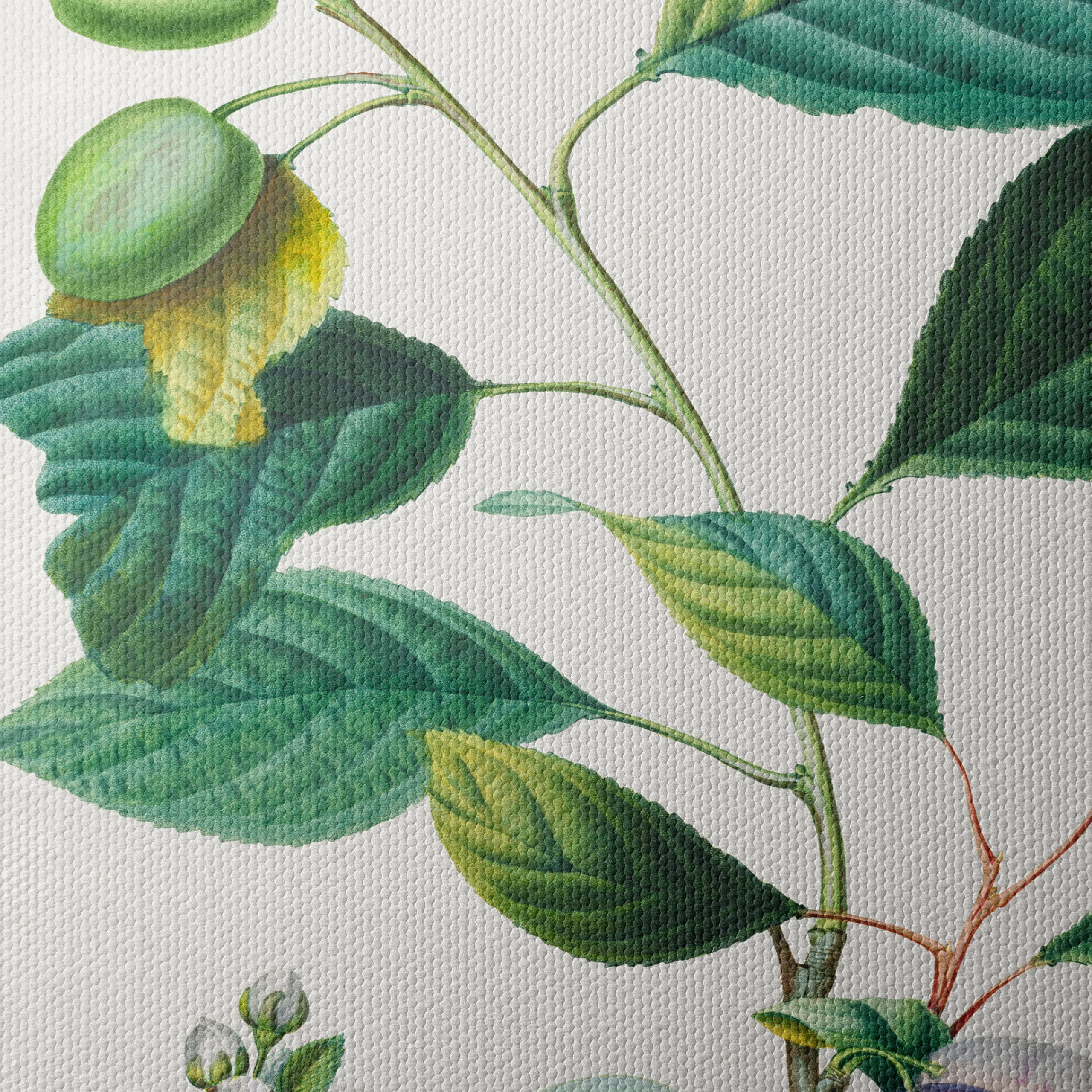 Beautiful Botanical Illustration of Plums - Image 4